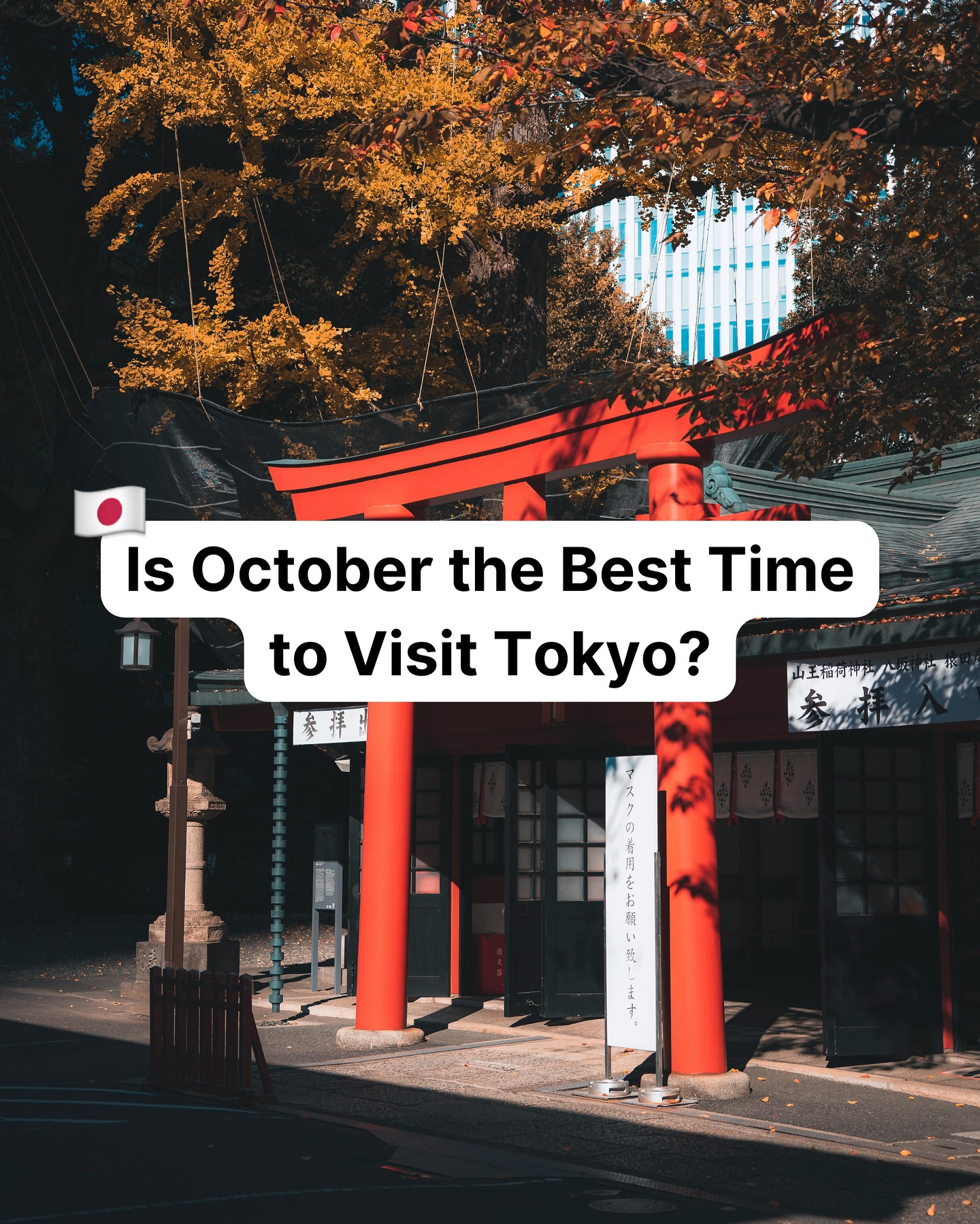 Tokyo's Top Autumn Attractions and October Events