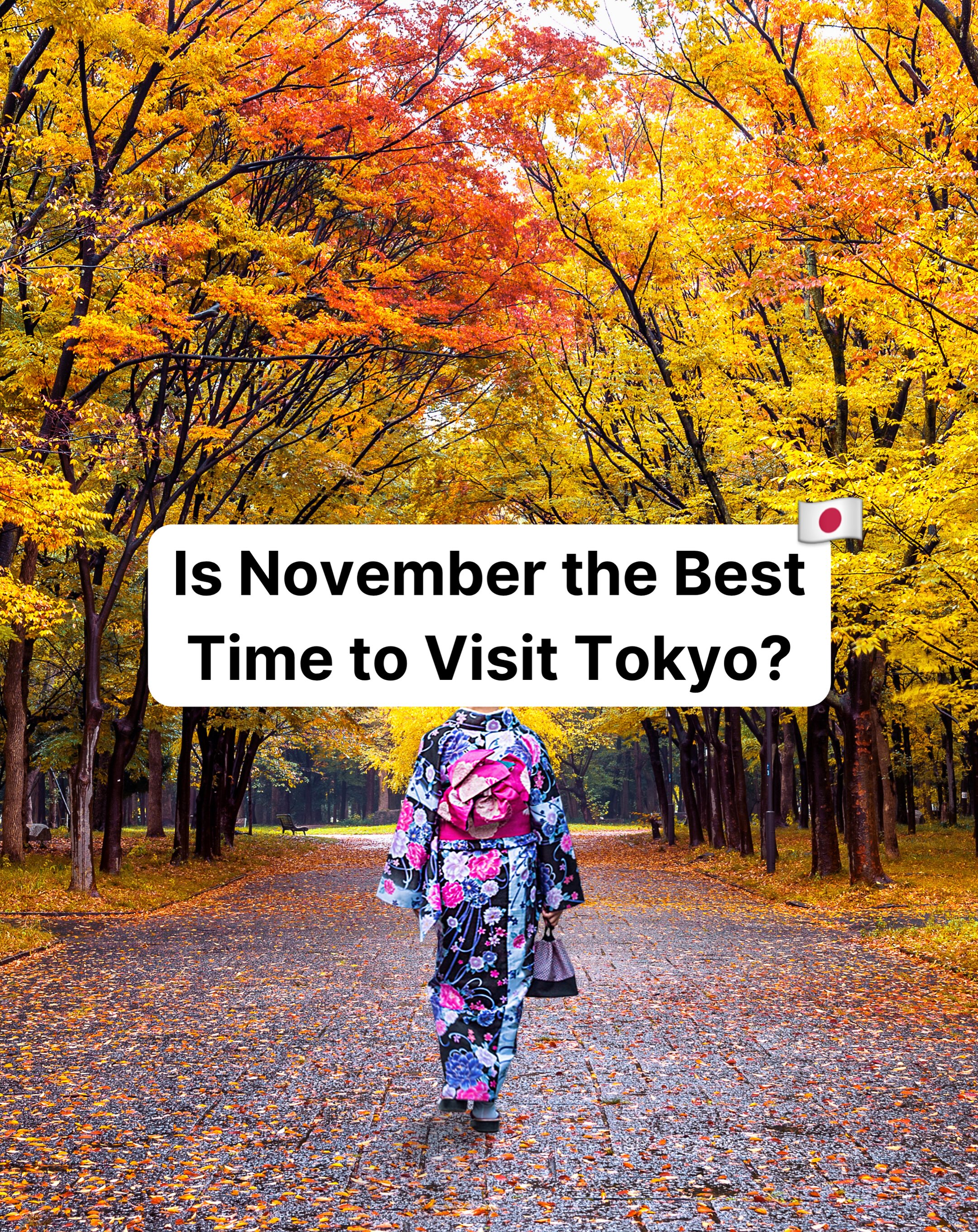 Tokyo's Best Autumn Leaf Viewing Spots