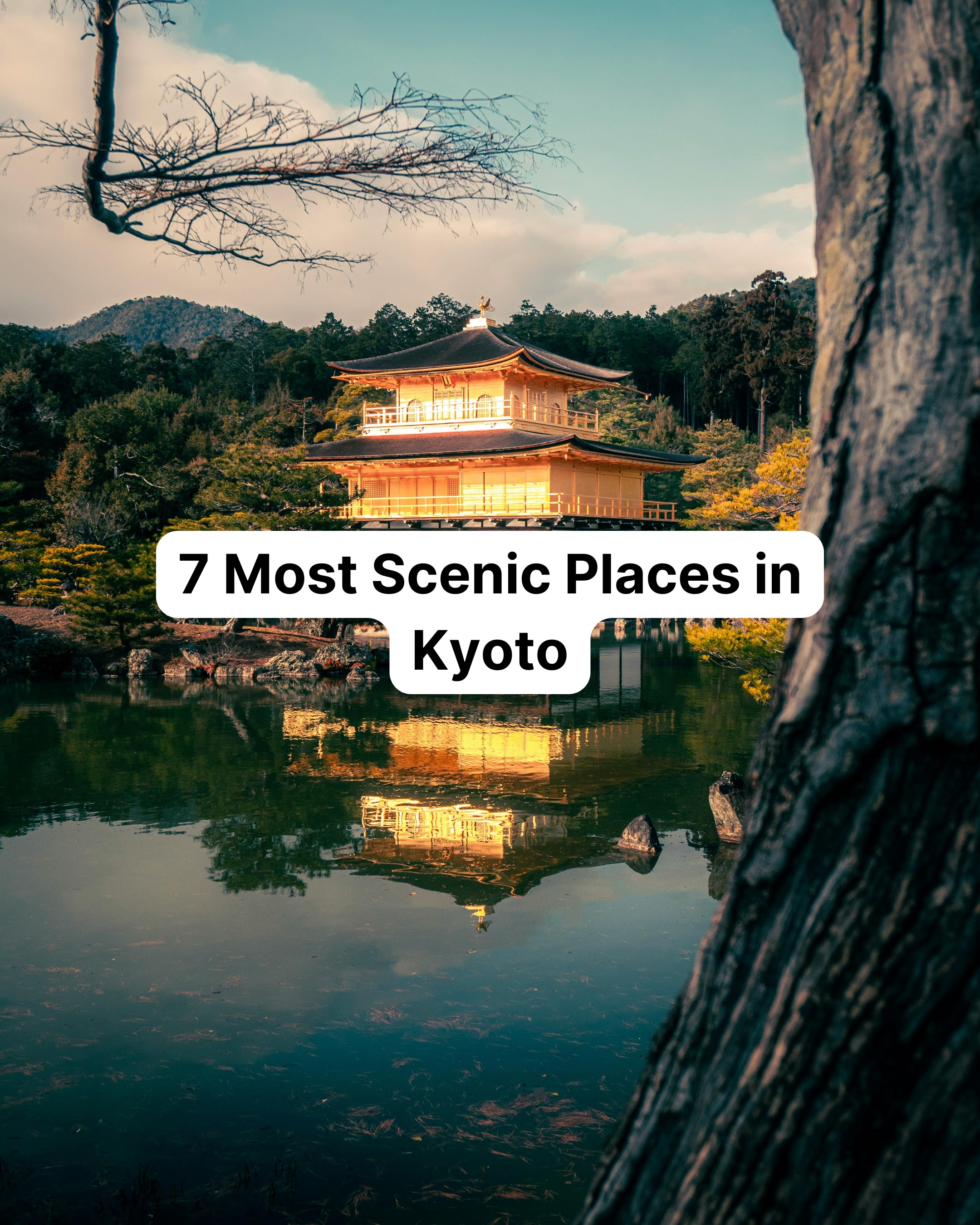 Scenic Kyoto Destinations For Your Travel Itinerary