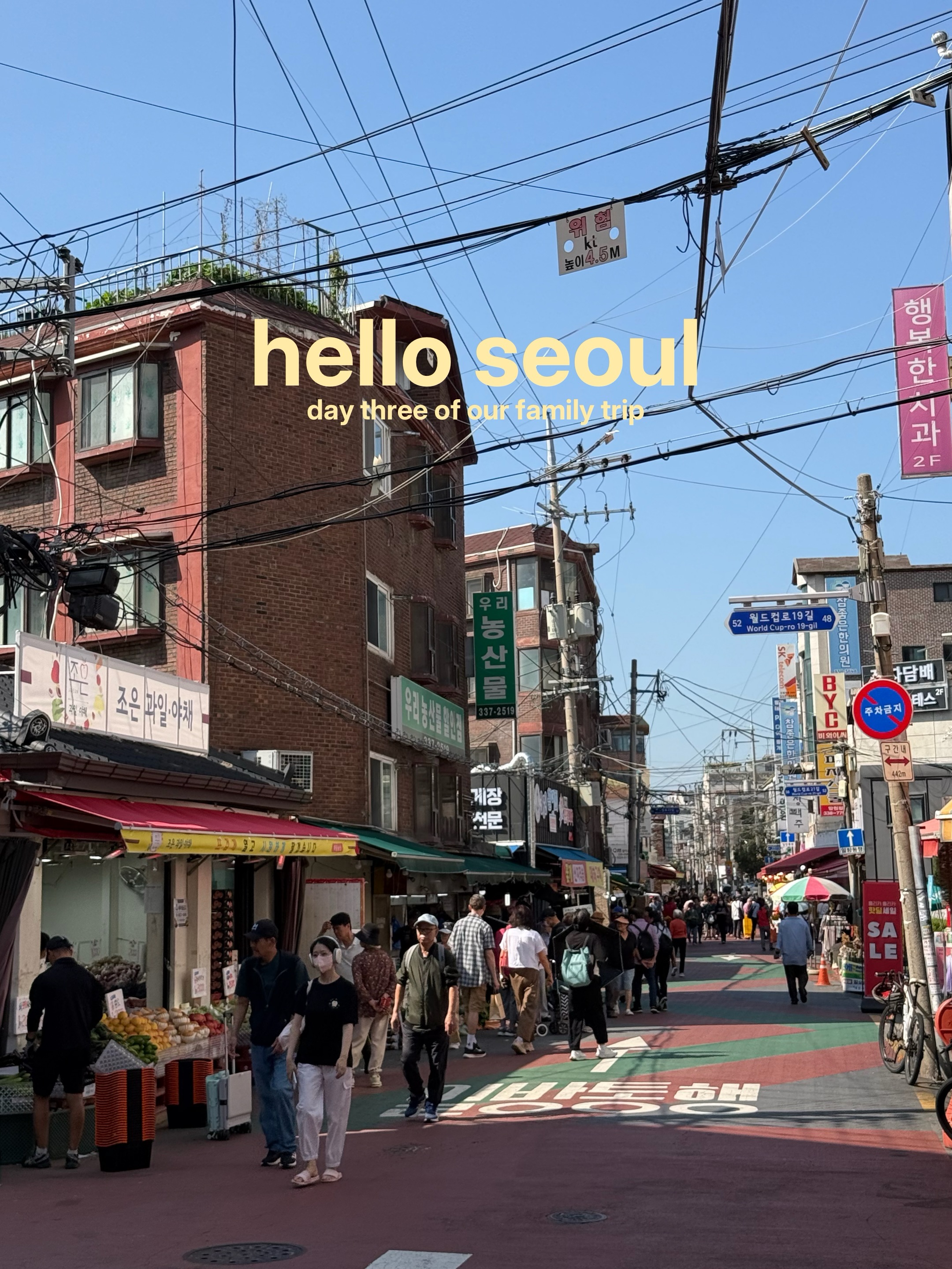 Seoul Family Trip: Markets, Food, and Iconic Sights