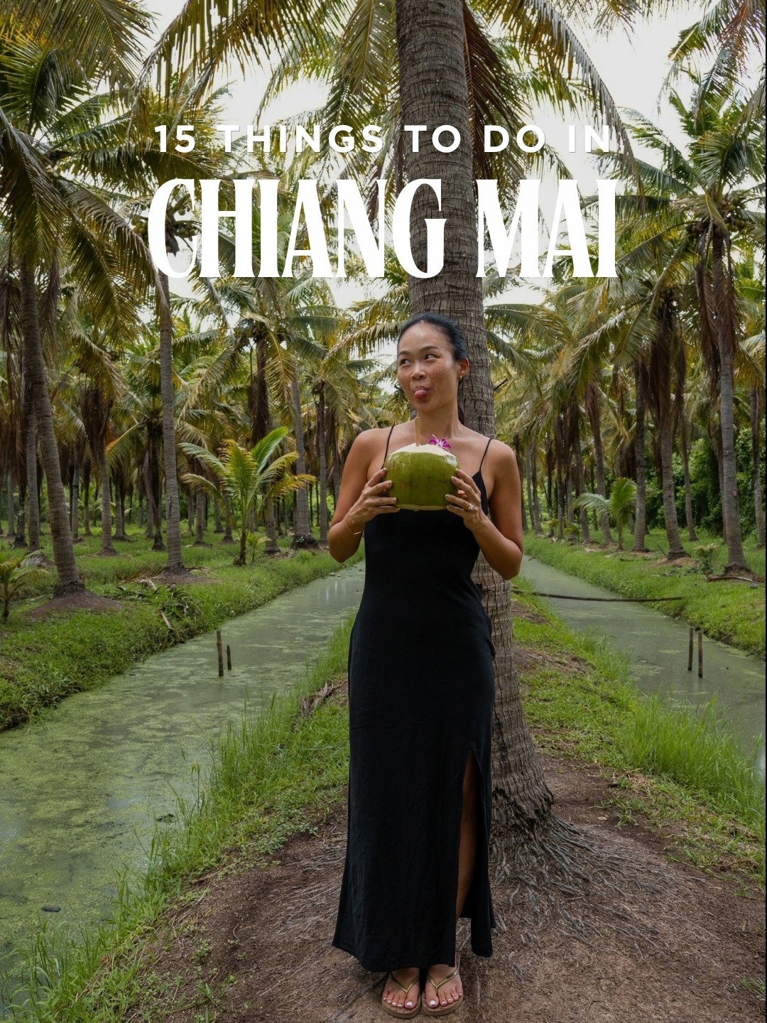 Top 15 Chiang Mai Activities and Attractions