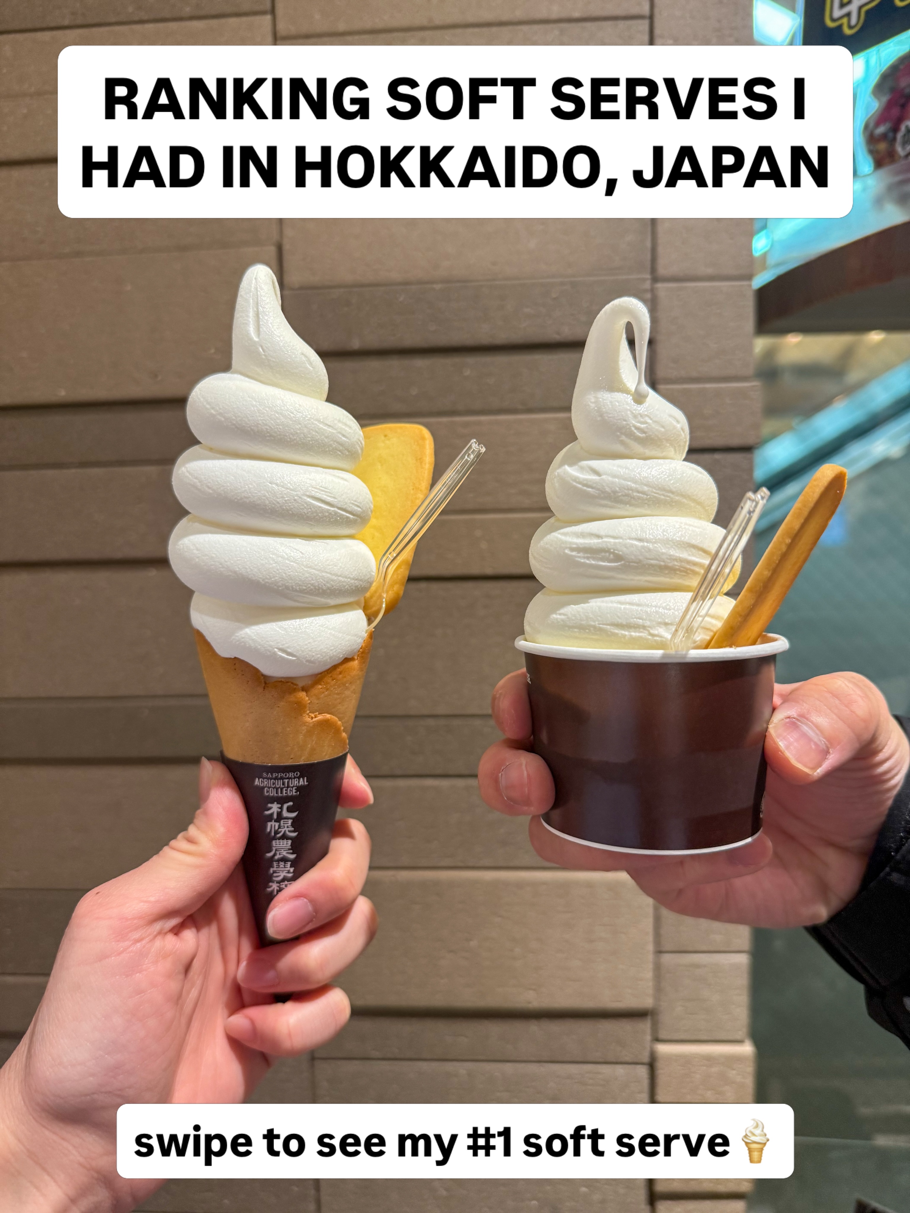 Hokkaido's Best Soft Serve Ice Cream Destinations