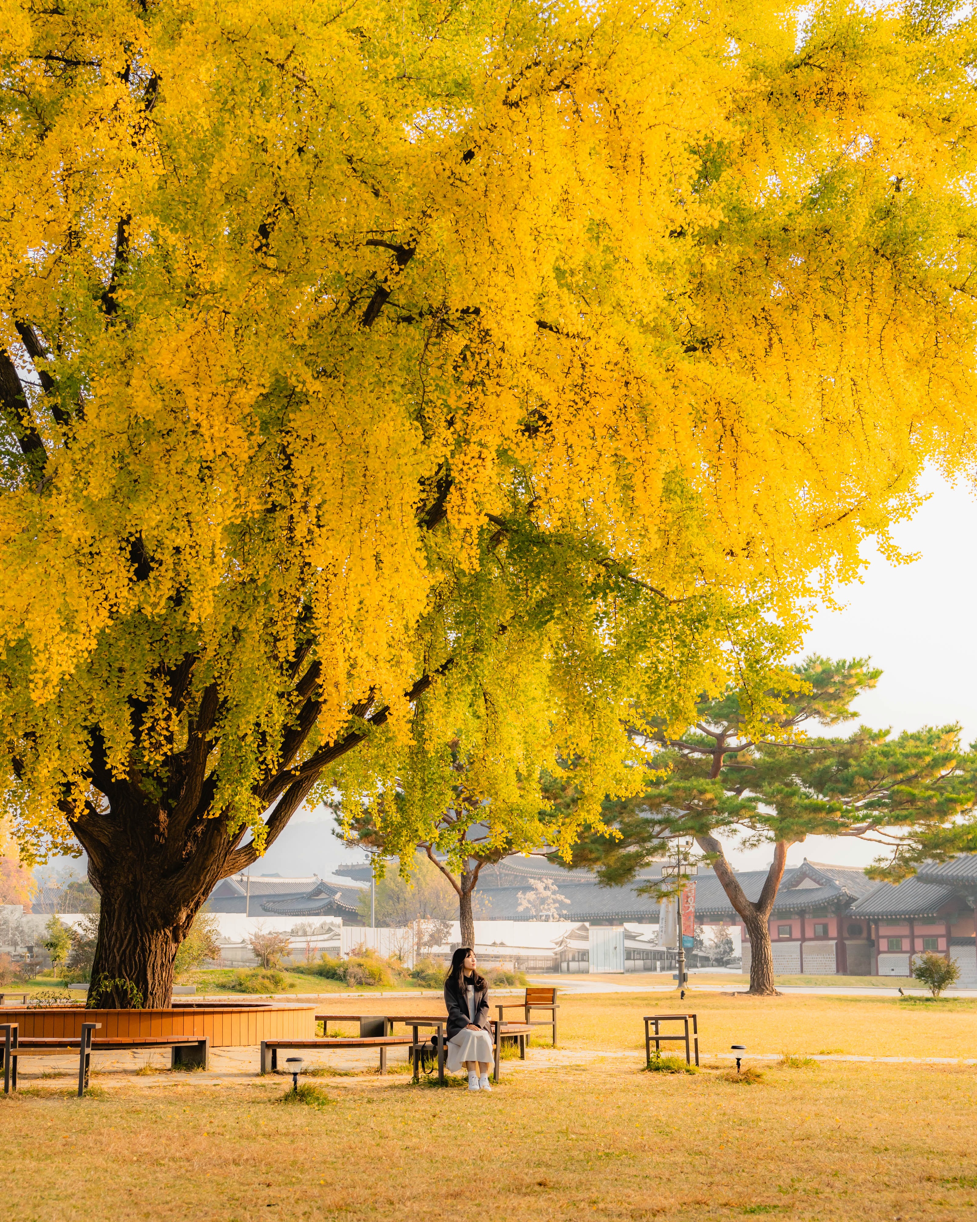 Seoul's Best Autumn Foliage Destinations