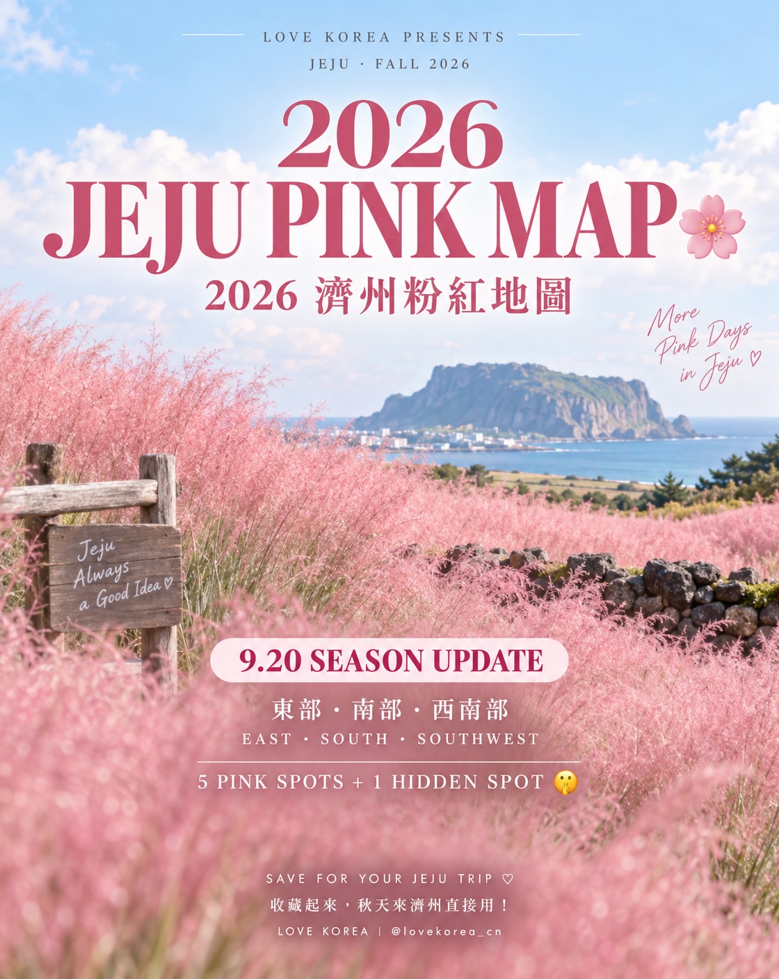 Jeju's Best Pink Muhly Grass Destinations