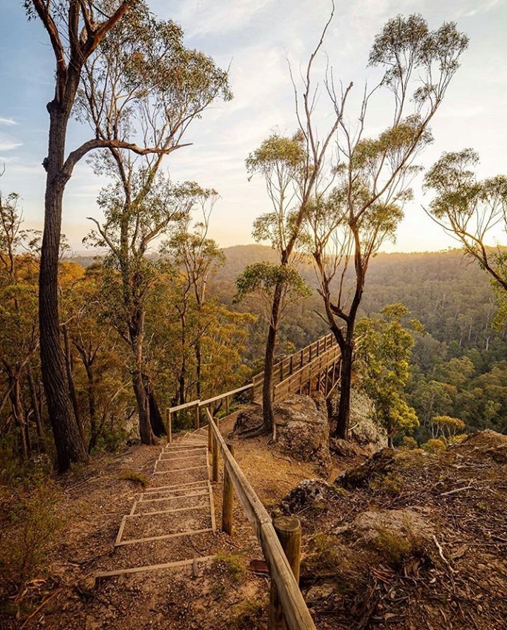 Victorian Parks And Lookout With Wildflowers