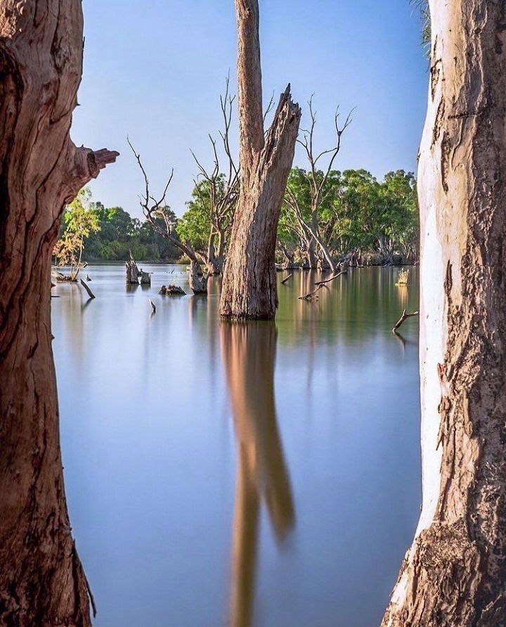 Kings Billabong Nature Reserve Activities