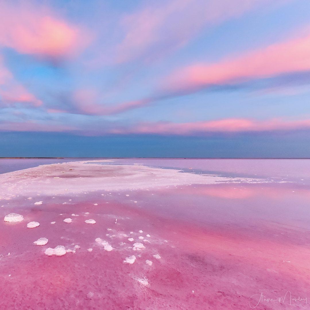 Pink Lake Tyrrell Displays Unique Algal Color