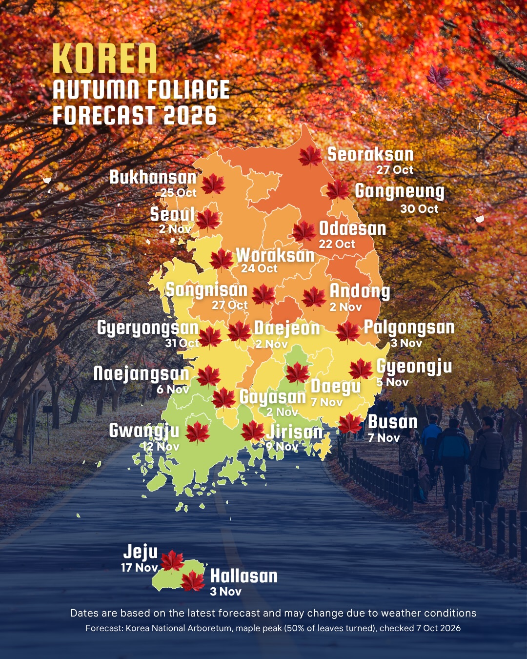 South Korean Autumn Foliage Destinations
