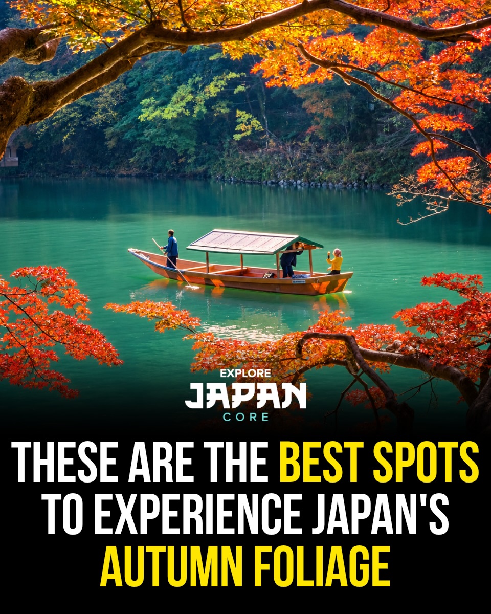 Japan's Top Autumn Foliage Viewing Spots