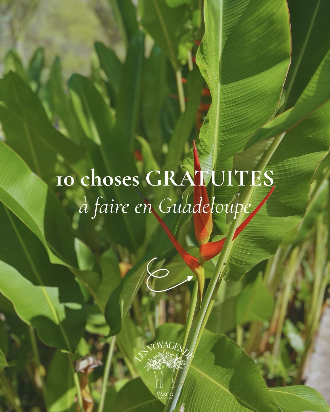 Guadeloupe's Top Eight Scenic and Historic Destinations