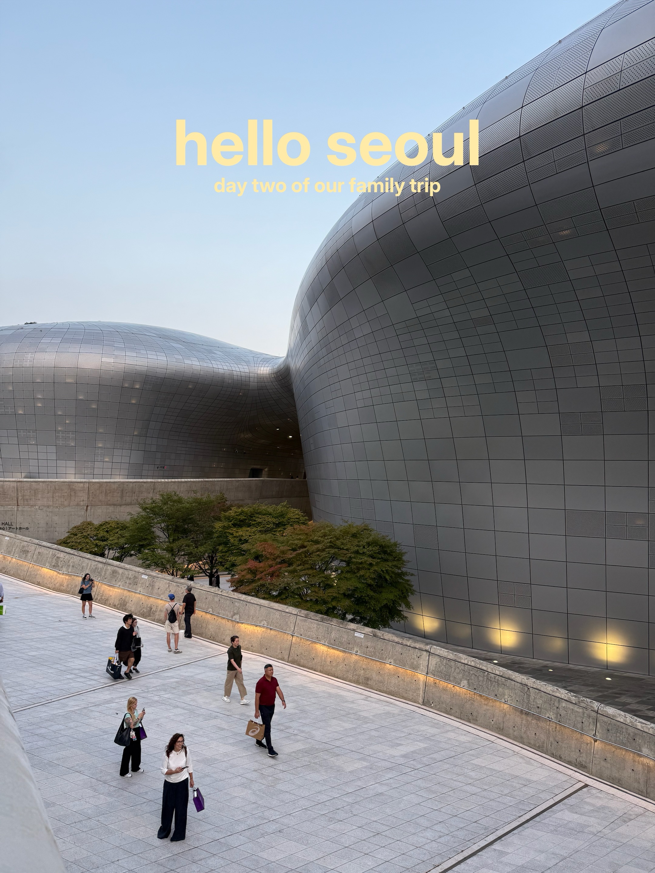 Seoul's Culture, Design, and Food Adventures