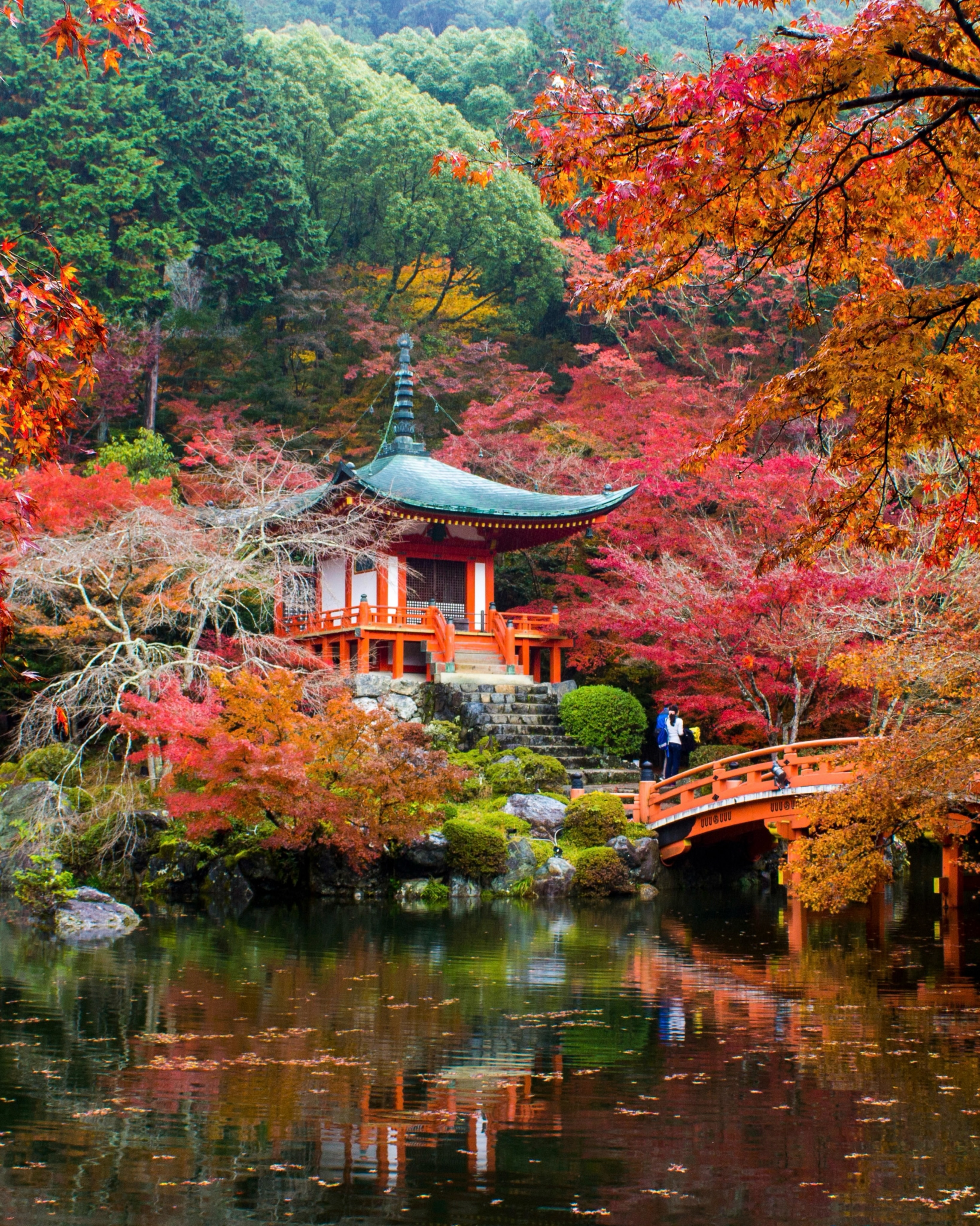 Kyoto's Best Autumn Foliage Spots Beyond the Crowds