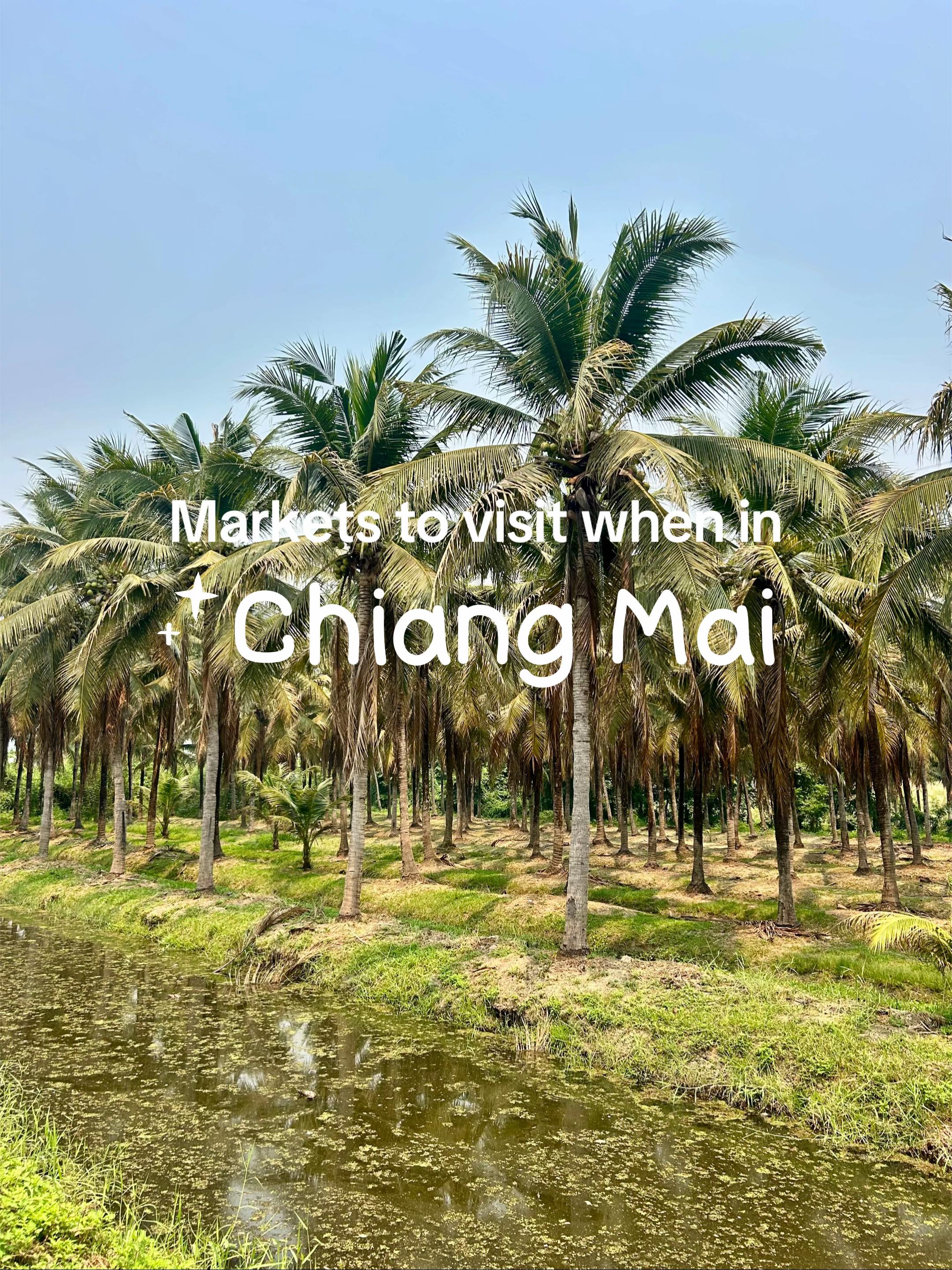 Chiang Mai Weekend Markets Offer Unique Shopping