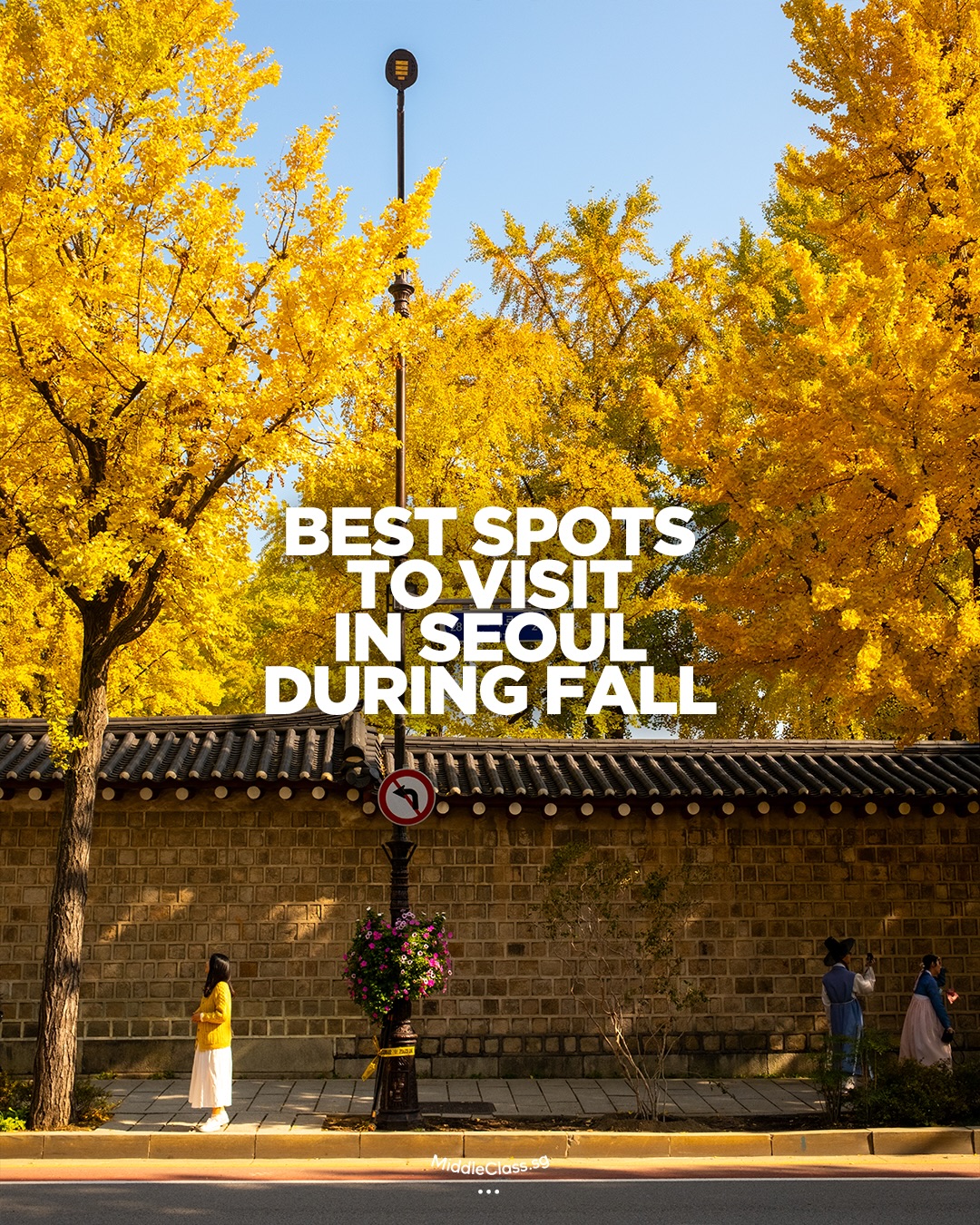 Seoul's Top Autumn Foliage Spots