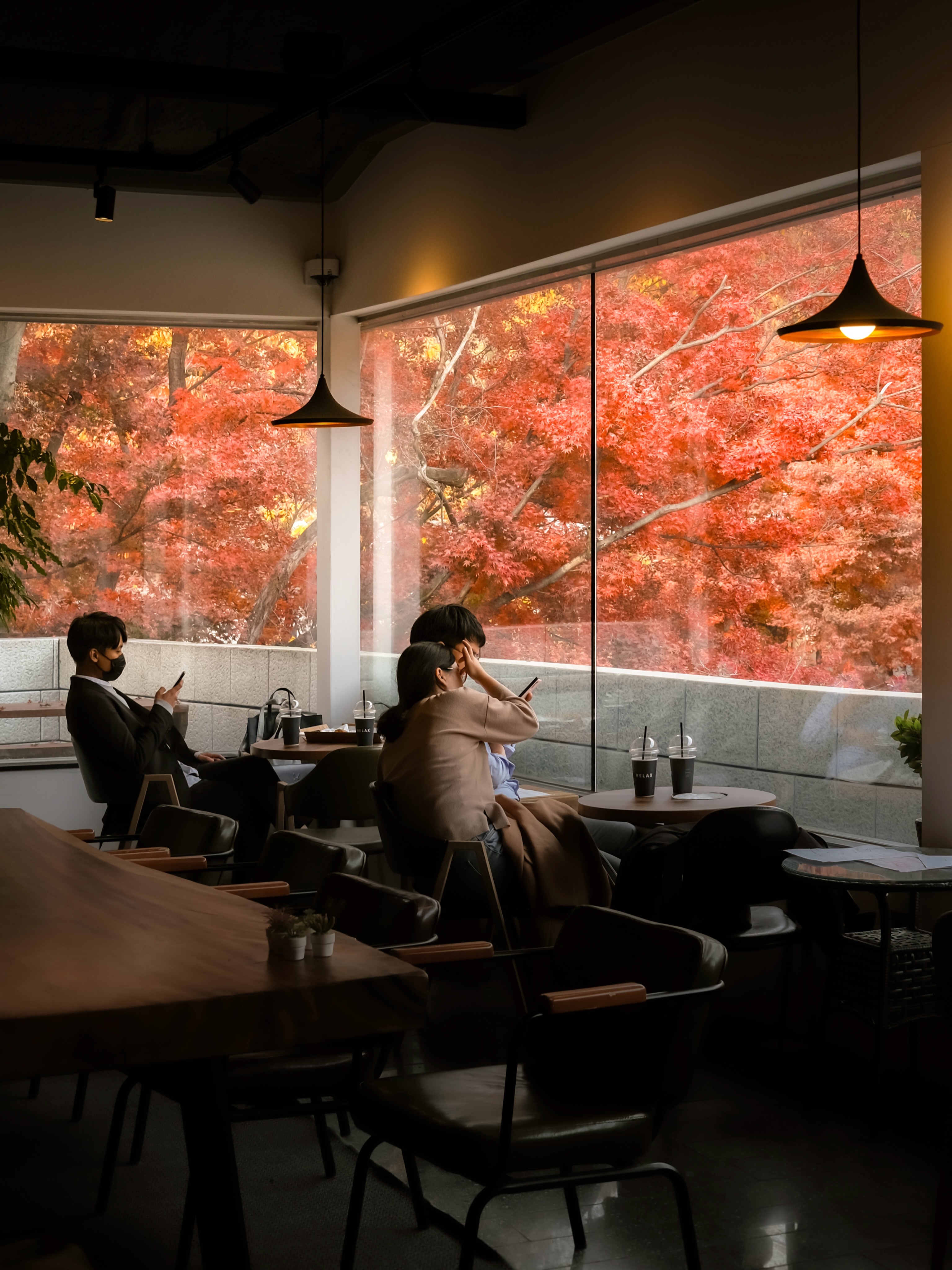 Scenic Spots Feature Autumn Leaves And Snow