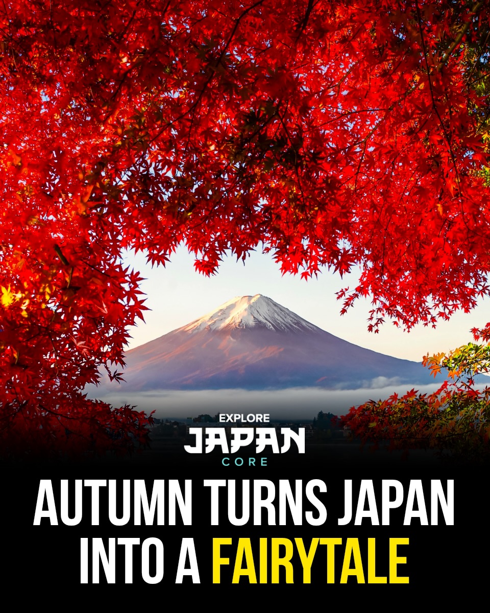 Japan's Autumn Colors And Temple Illuminations