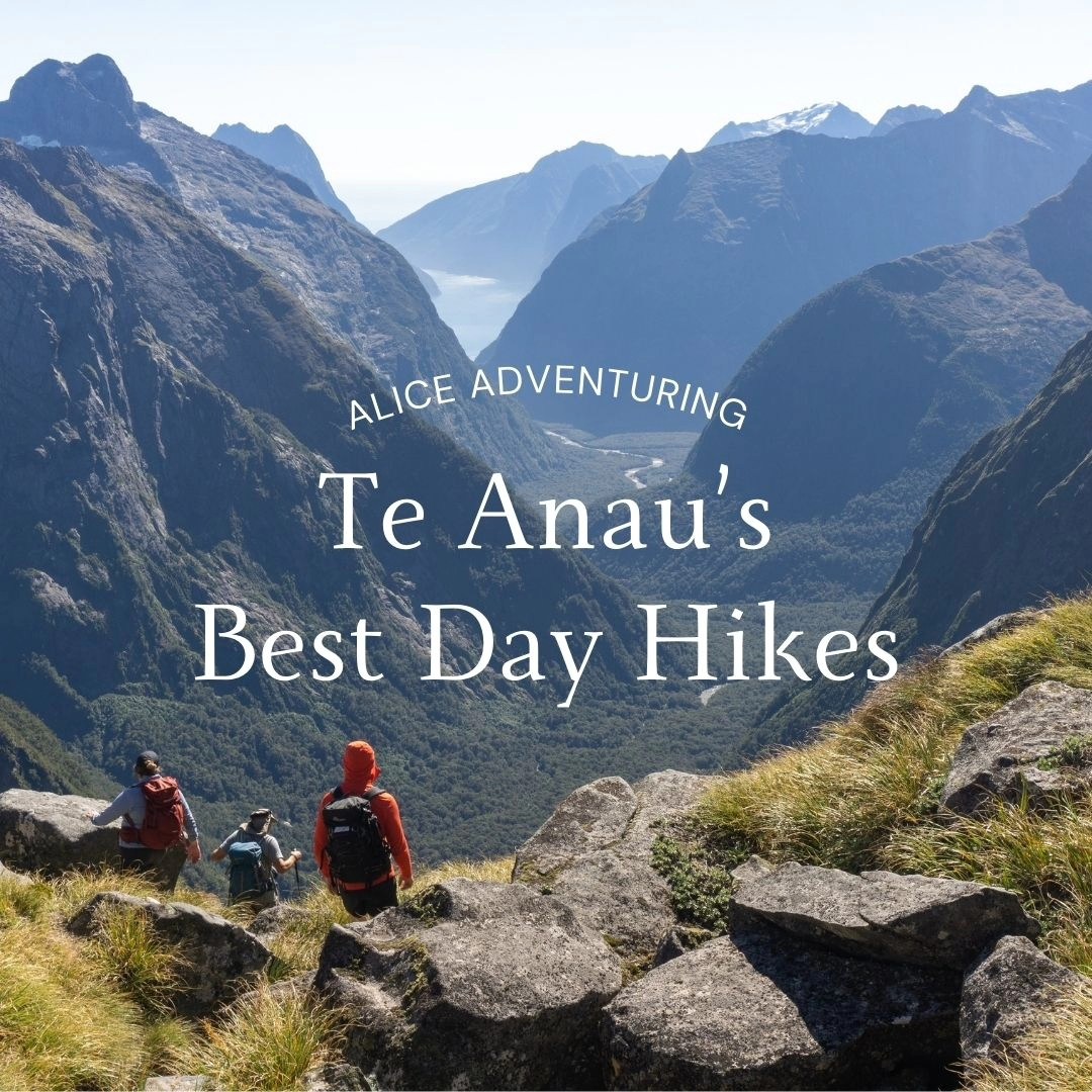 Fiordland National Park Day Hikes Near Te Anau
