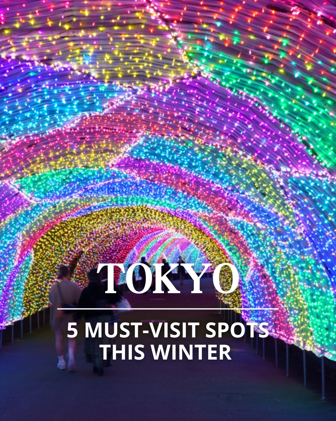 Tokyo's Top 5 Winter Illumination Spots