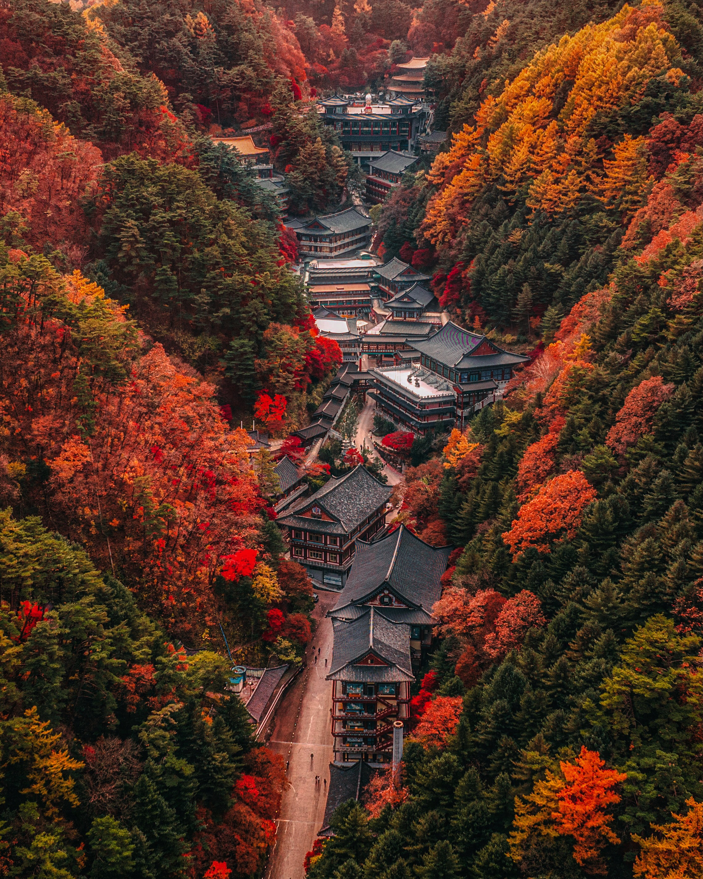 Sobaeksan And Guinsa Temple's Autumn Beauty