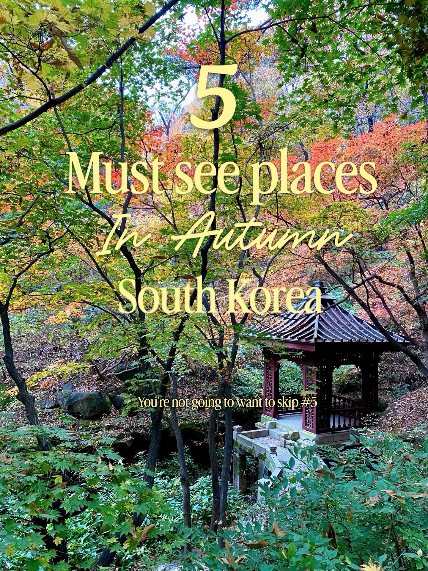 Five South Korean Spots For Autumn Foliage