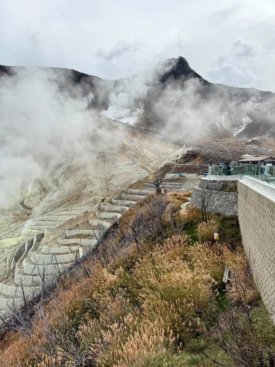 Volcanic Wonders and Mount Fuji Views in Hakone