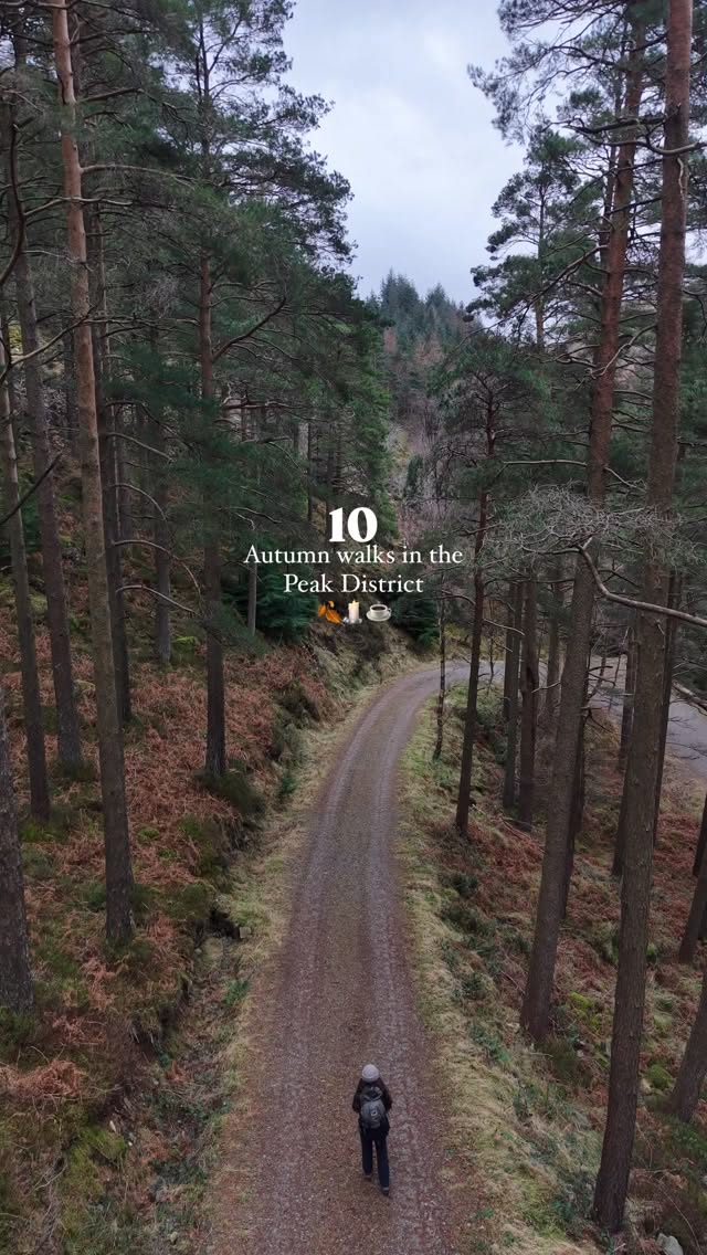 Peak District Autumn Walks Through Woods
