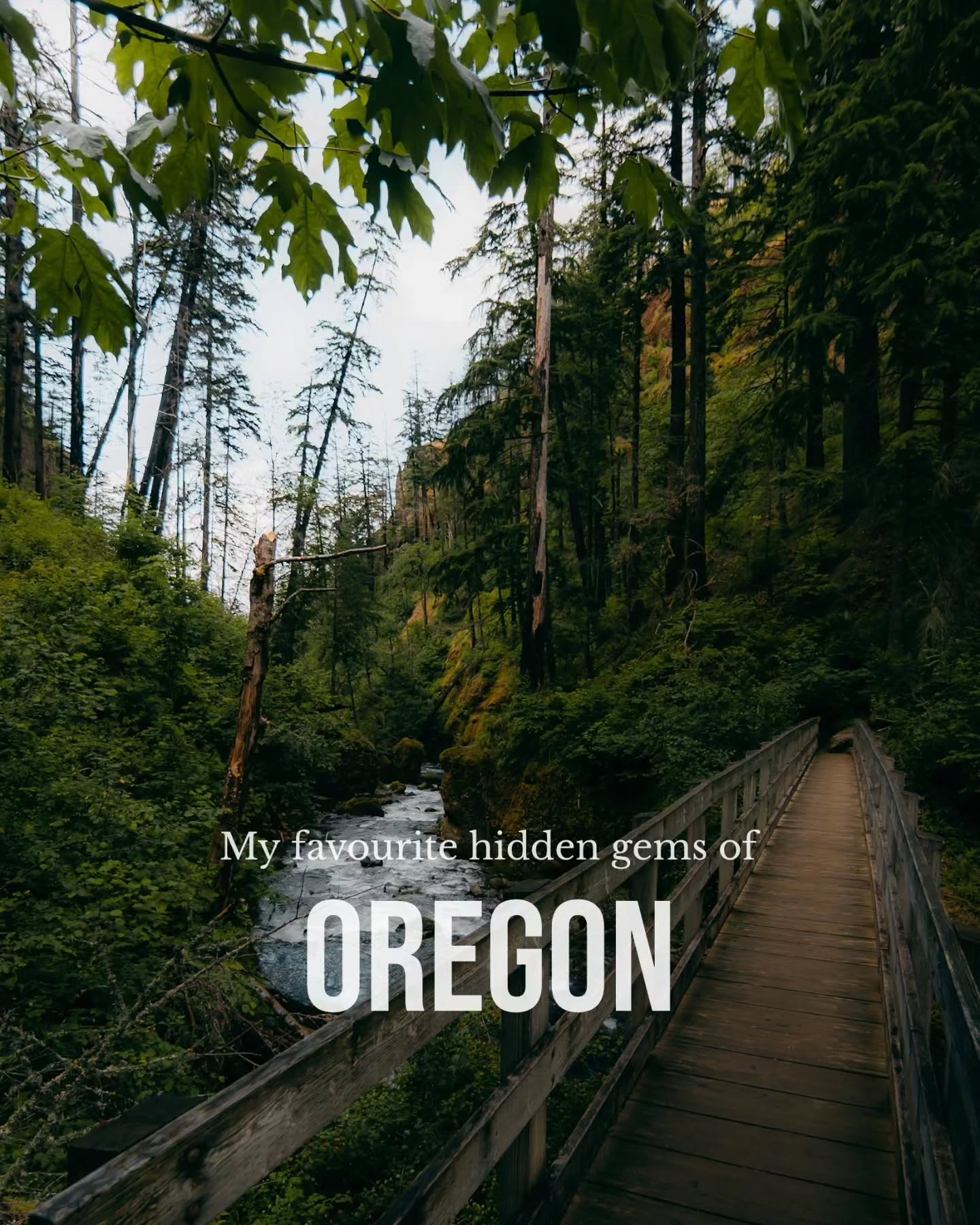Oregon's Diverse Natural Wonders and Scenic Spots