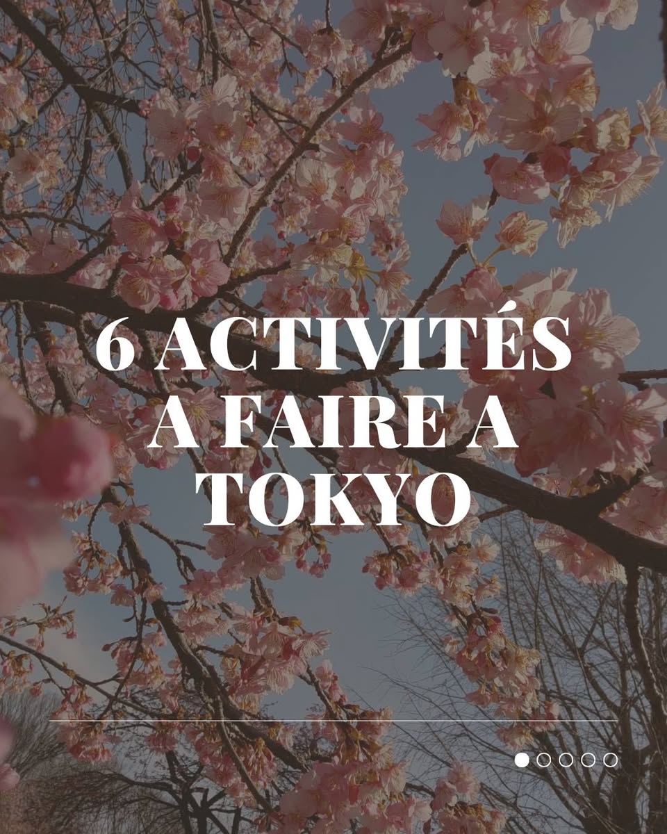 Tokyo Activities For Your Dream Japan Trip