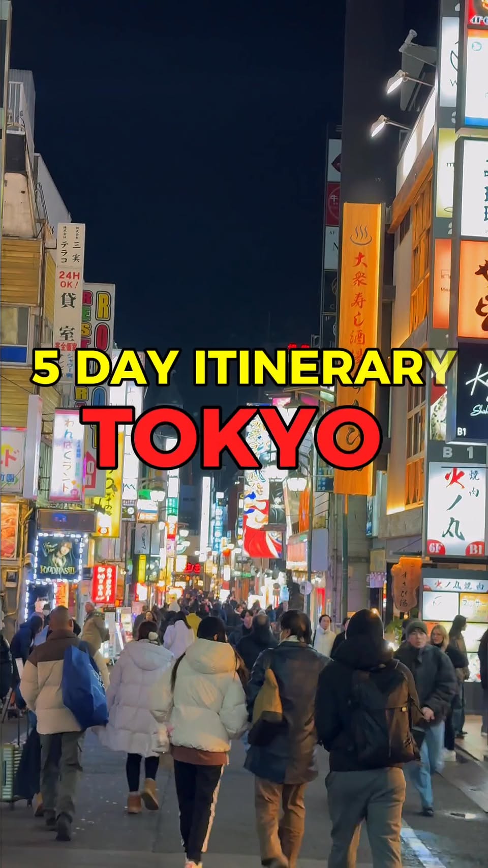 Tokyo Area Itinerary: Landmarks, Nature, and Theme Parks
