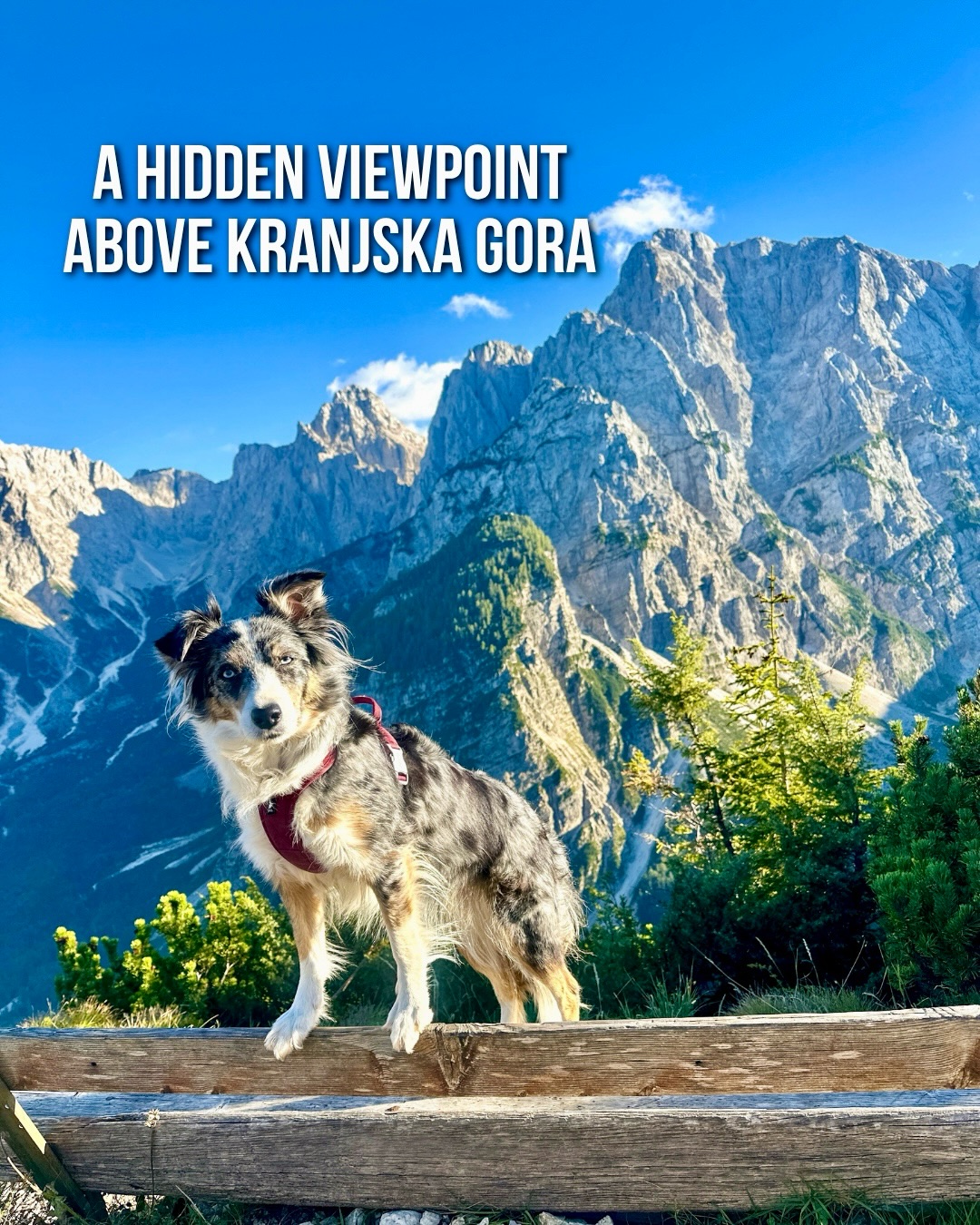 Alpine Hikes Near Kranjska Gora