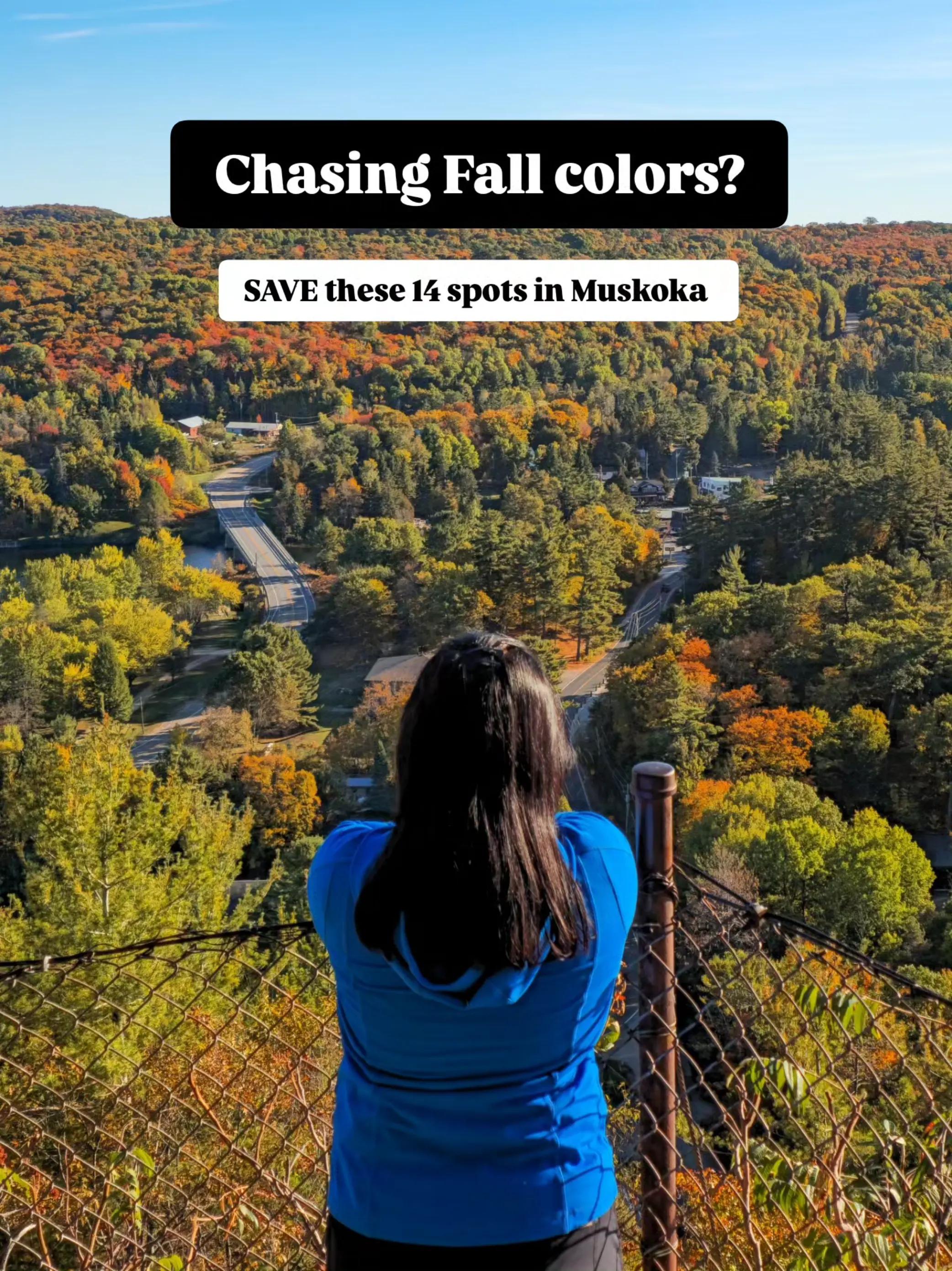 Muskoka's Top 14 Spots For Autumn Color Hikes