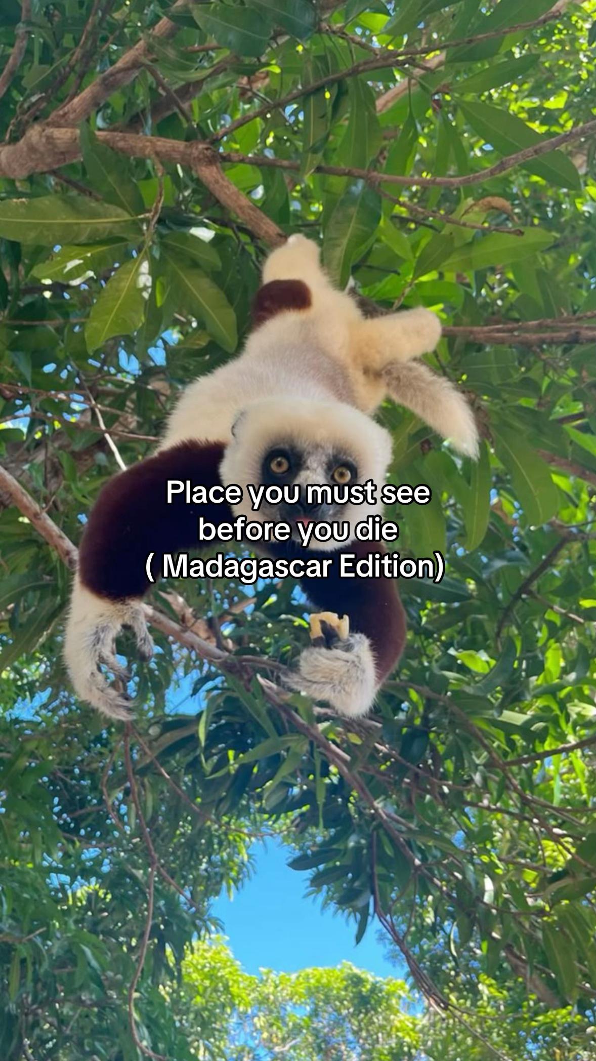 Madagascar's Natural Wonders And Wildlife Sanctuaries