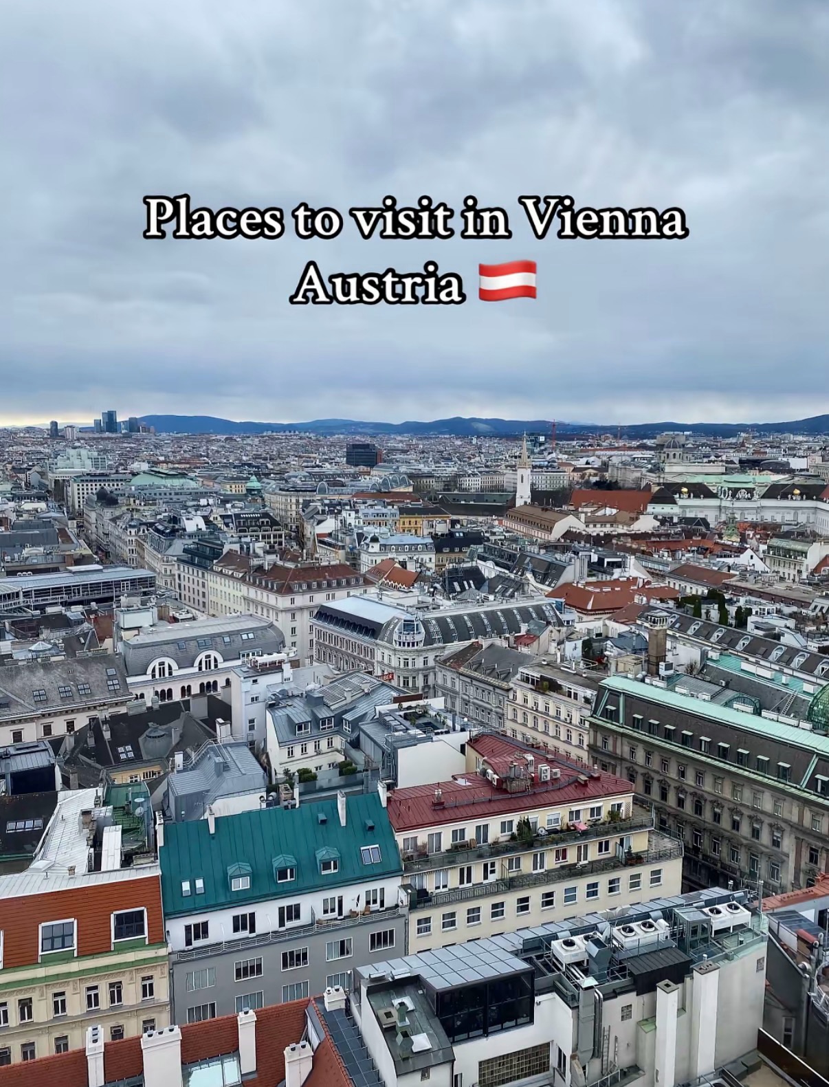 Vienna's Top Attractions, Dining, and Architectural Gems