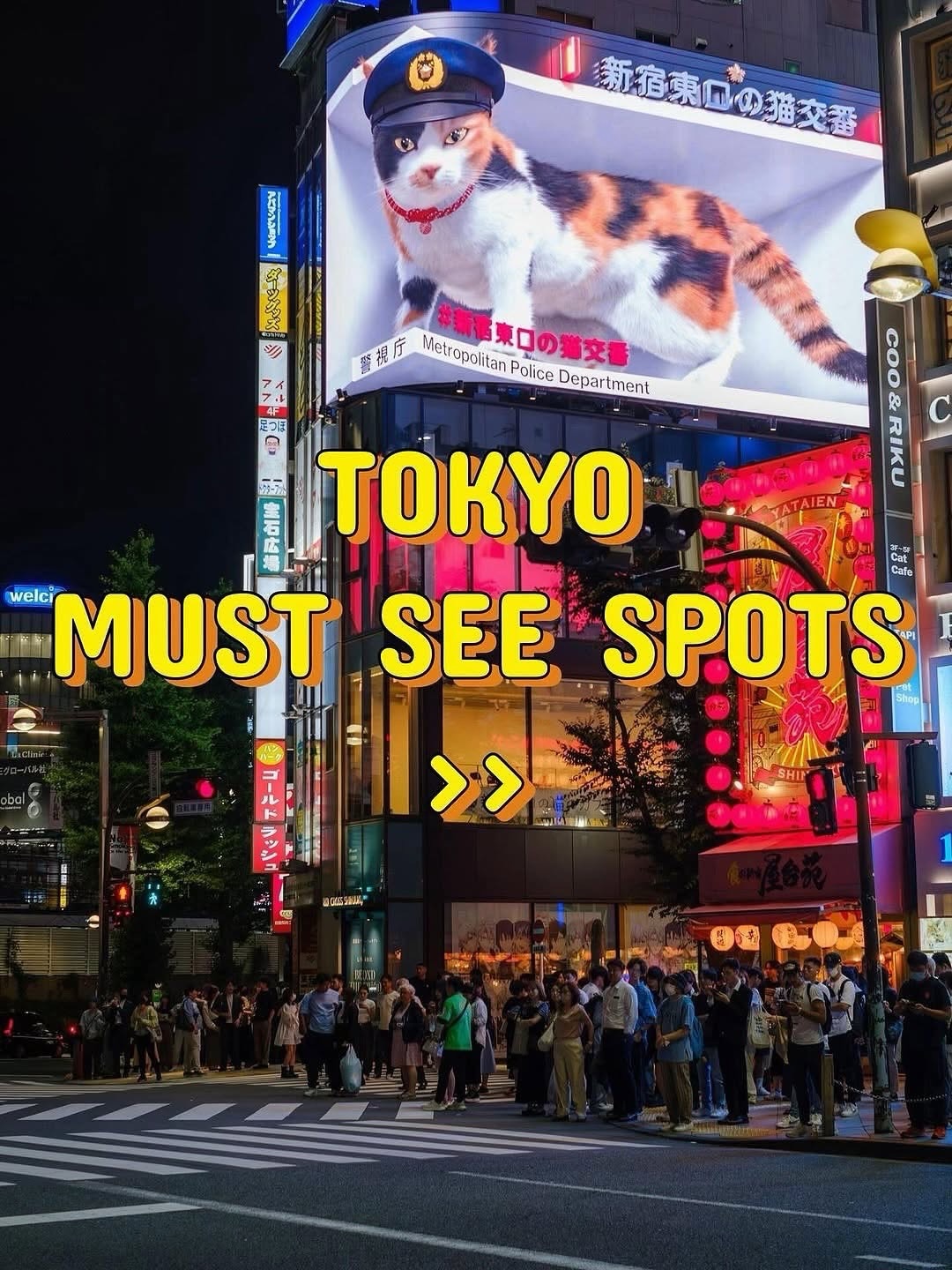 Tokyo's Must-See Attractions and Cultural Sites