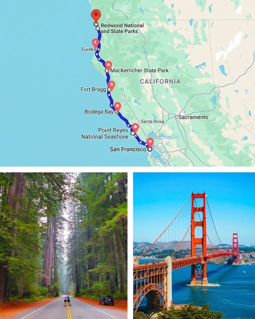 Northern California Coast Road Trip Highlights