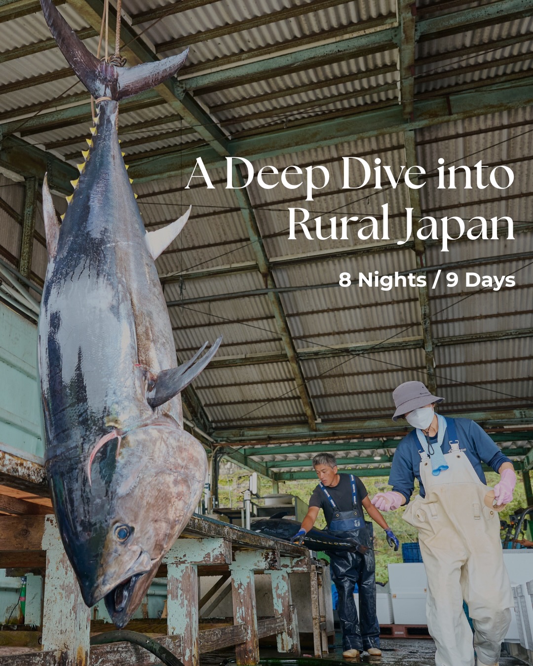 Rural Japan Pilgrimage: Shrines, Trails, and Crafts