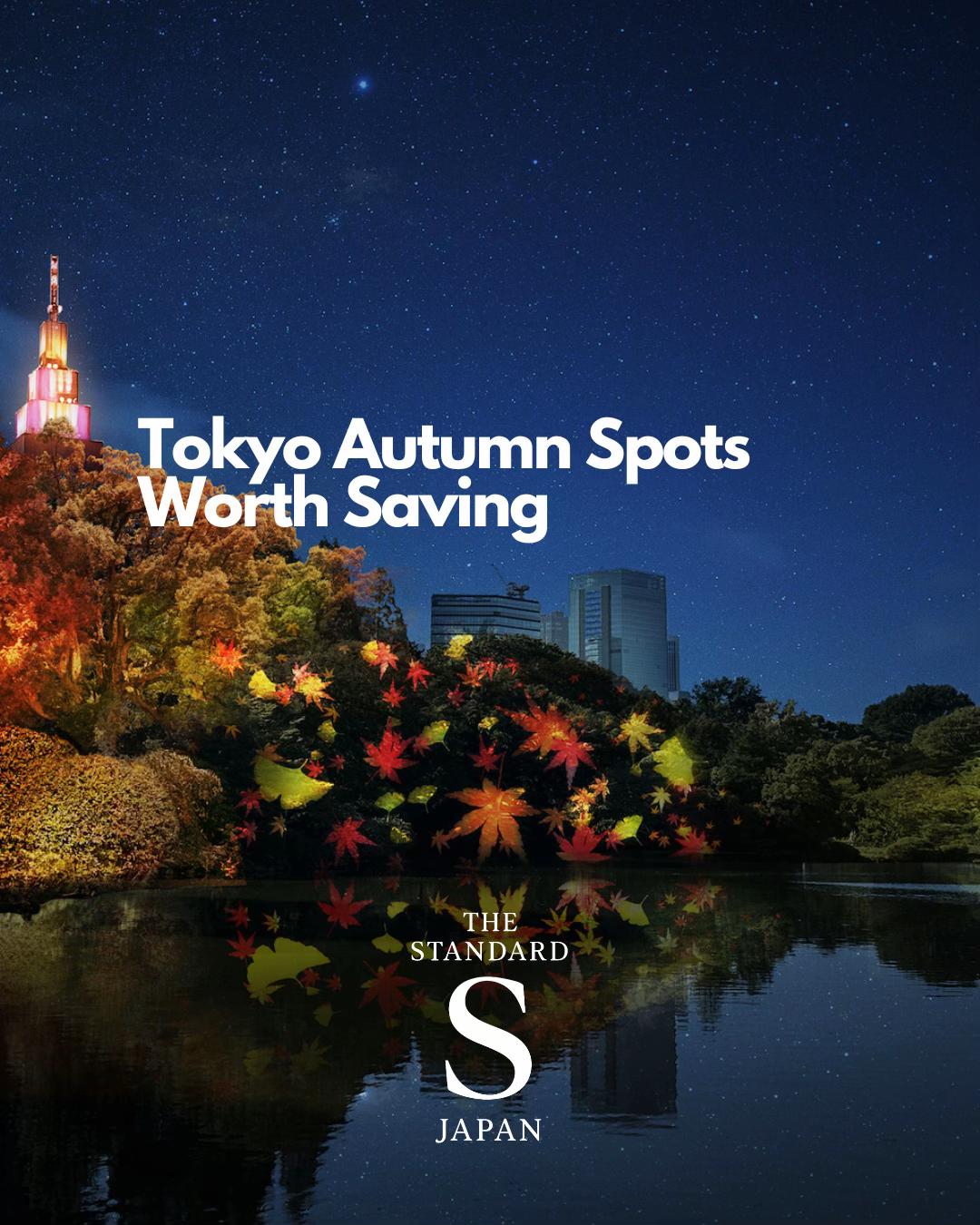 Tokyo's Top Five Autumn Foliage Viewing Spots