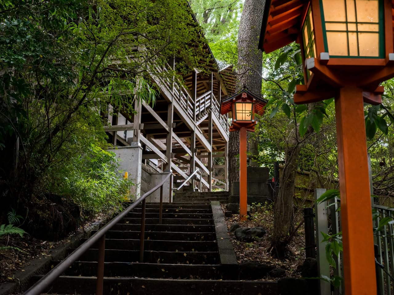 Todoroki Ravine and Temple: Nature Near Tokyo