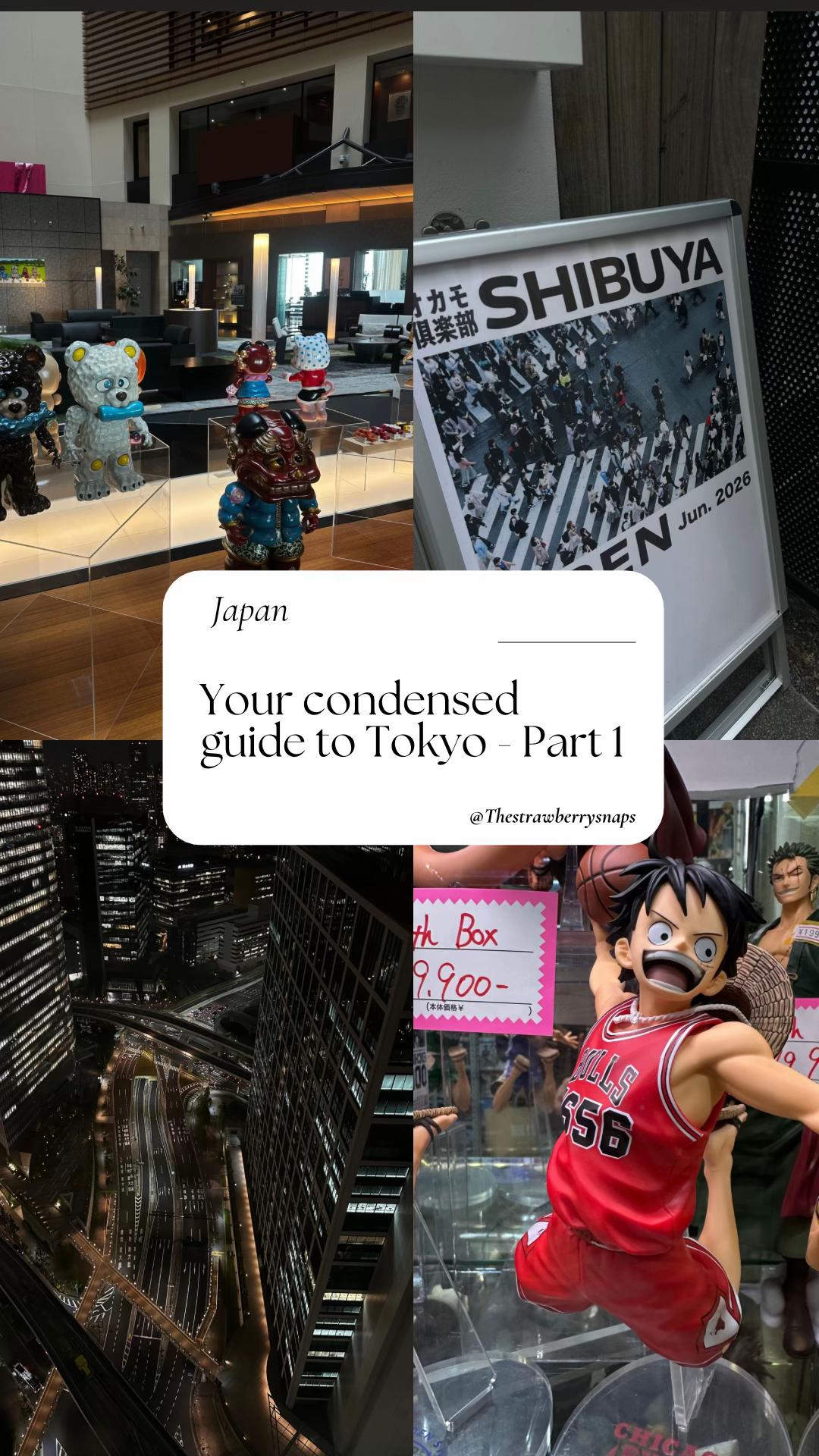 Tokyo's Shopping, Dining, and Entertainment Hotspots