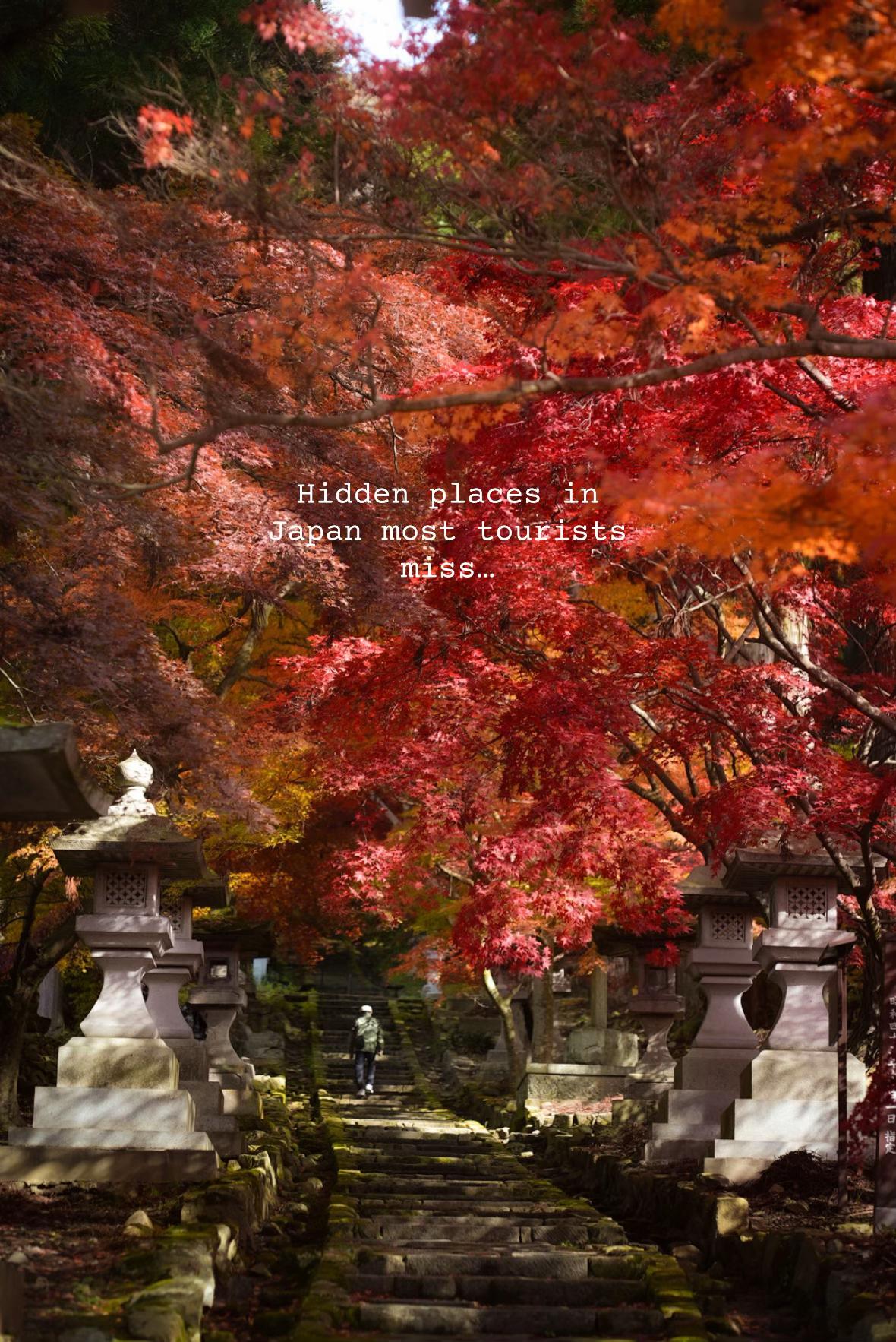 Hidden Temple Offers Autumn Views Near Nagano Attractions