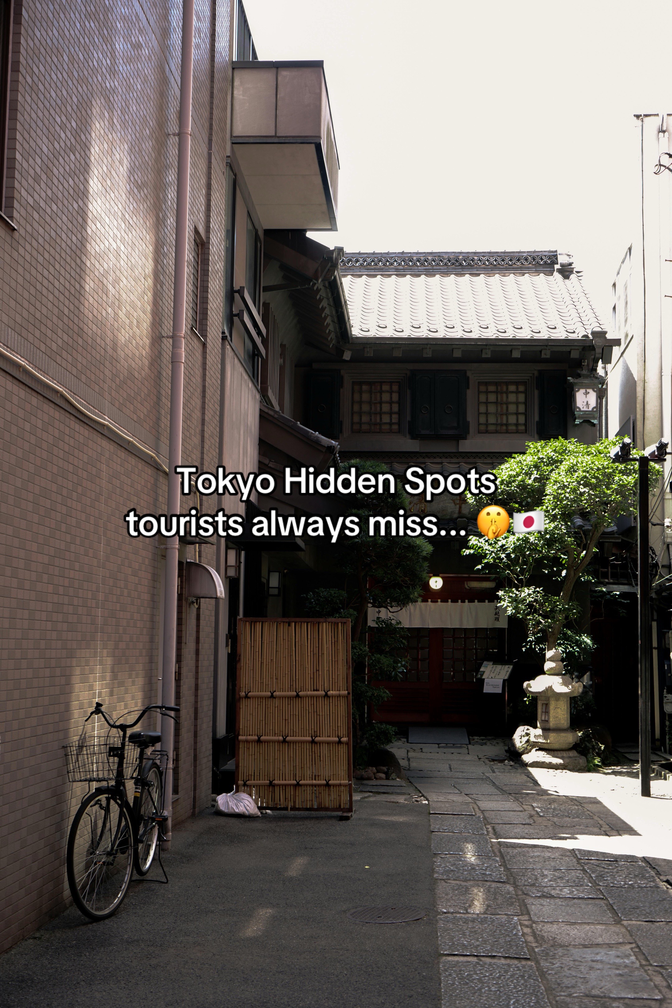 Tokyo's Hidden Gems: Shimokita and Todoroki