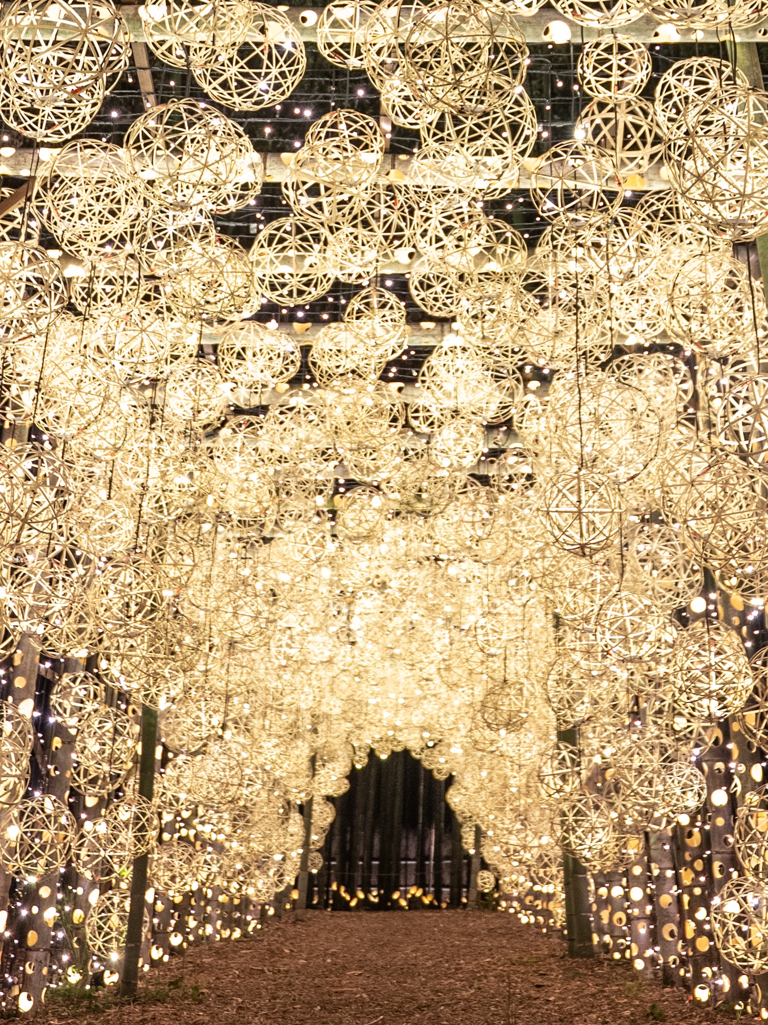 Arashiyama Bamboo Forest Light-Up Event