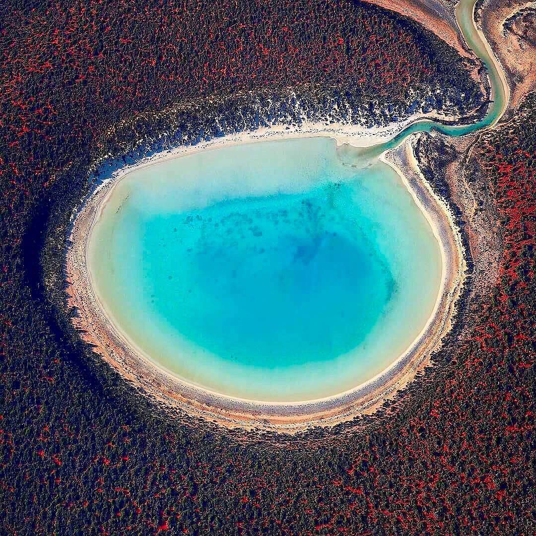 Shark Bay's Turquoise Lake From Above