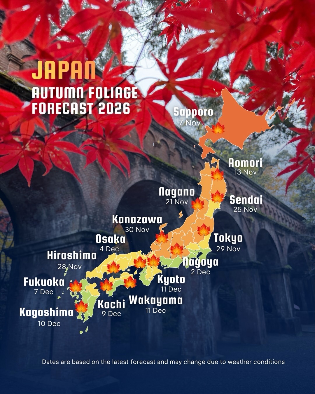 Japan's Autumn Foliage And Ginkgo Peak Forecast