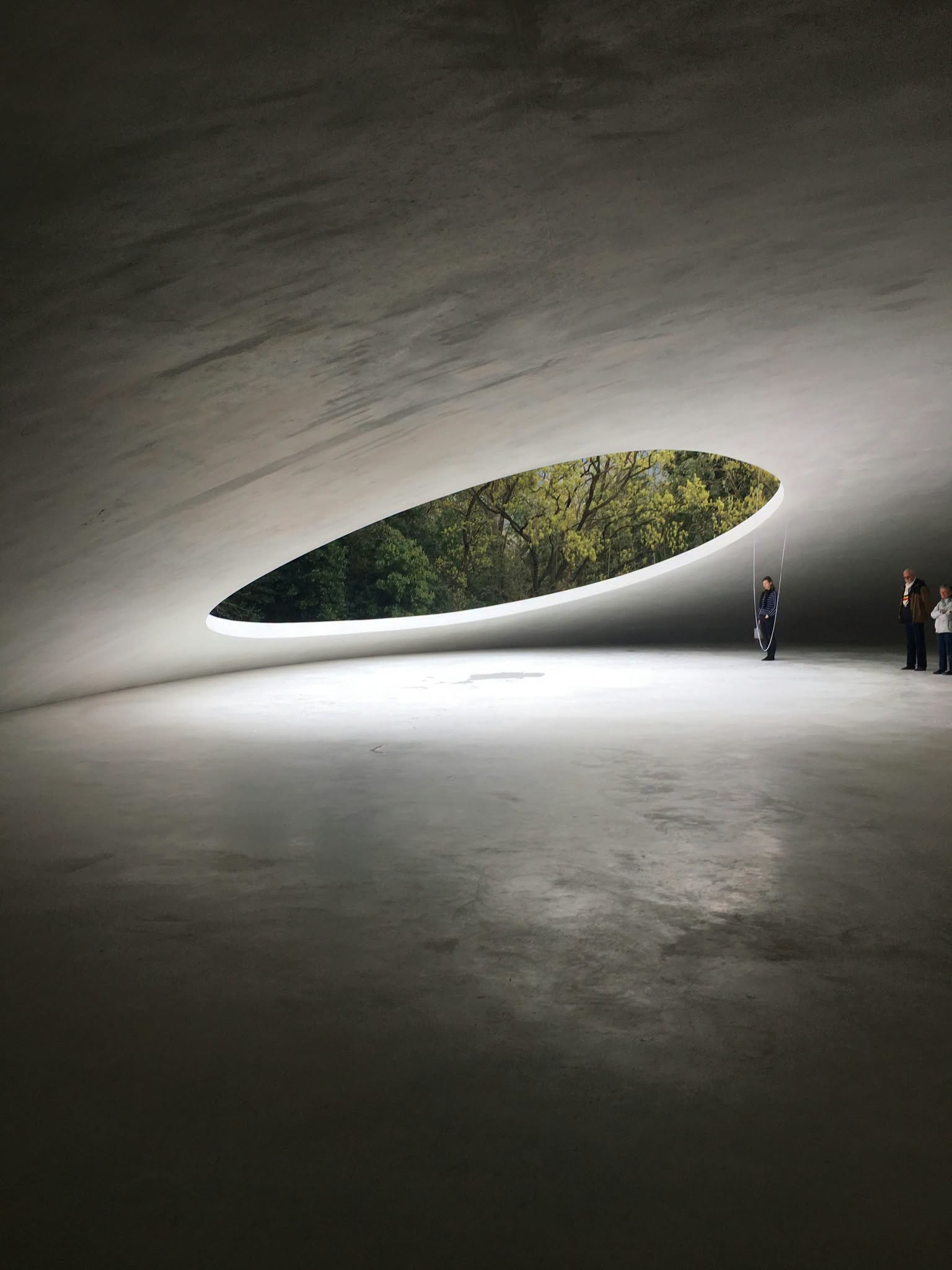 Teshima Art Museum: Nature and Art Intertwined