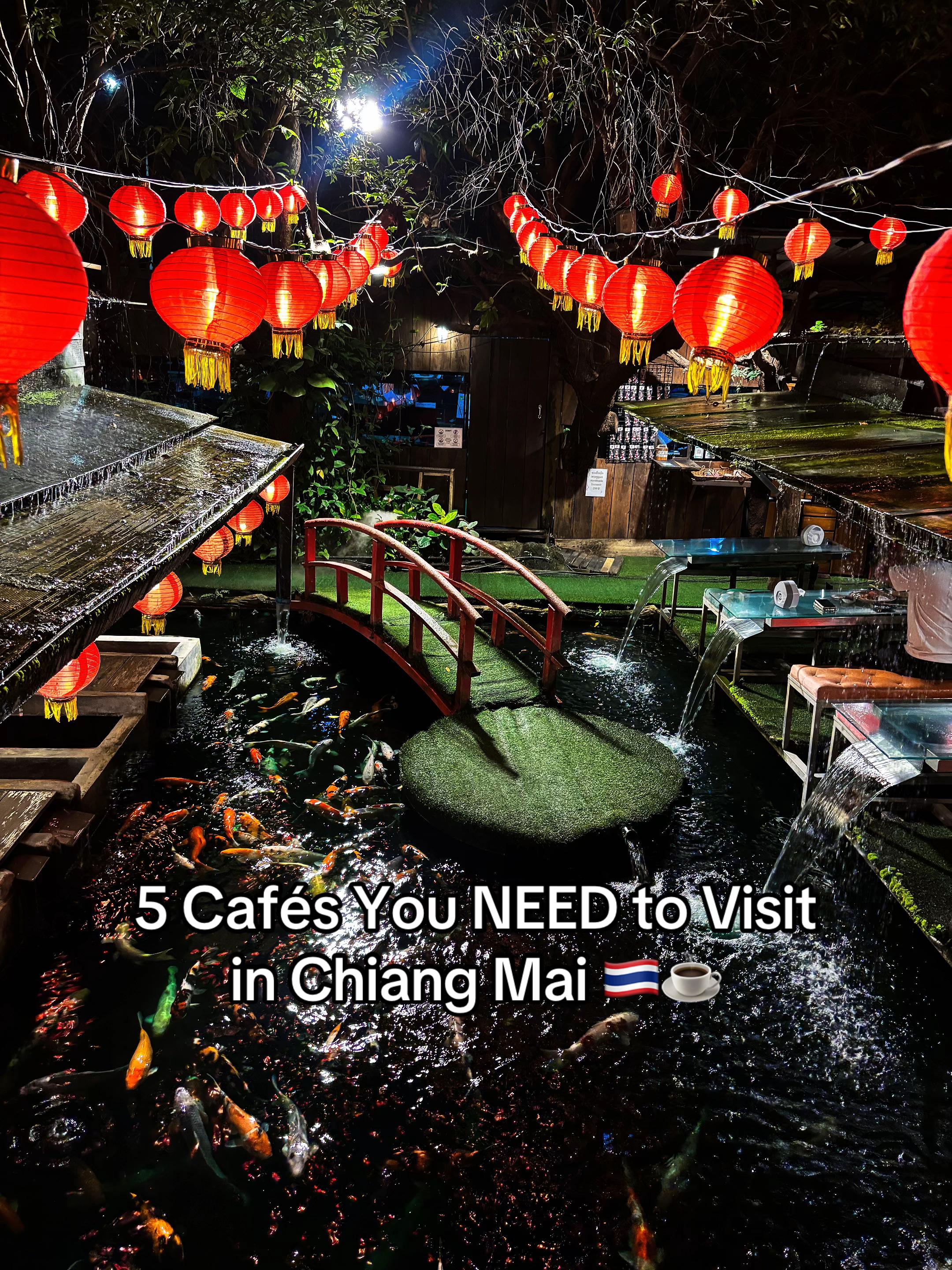 Chiang Mai Cafes Offer Unique Animal Encounters