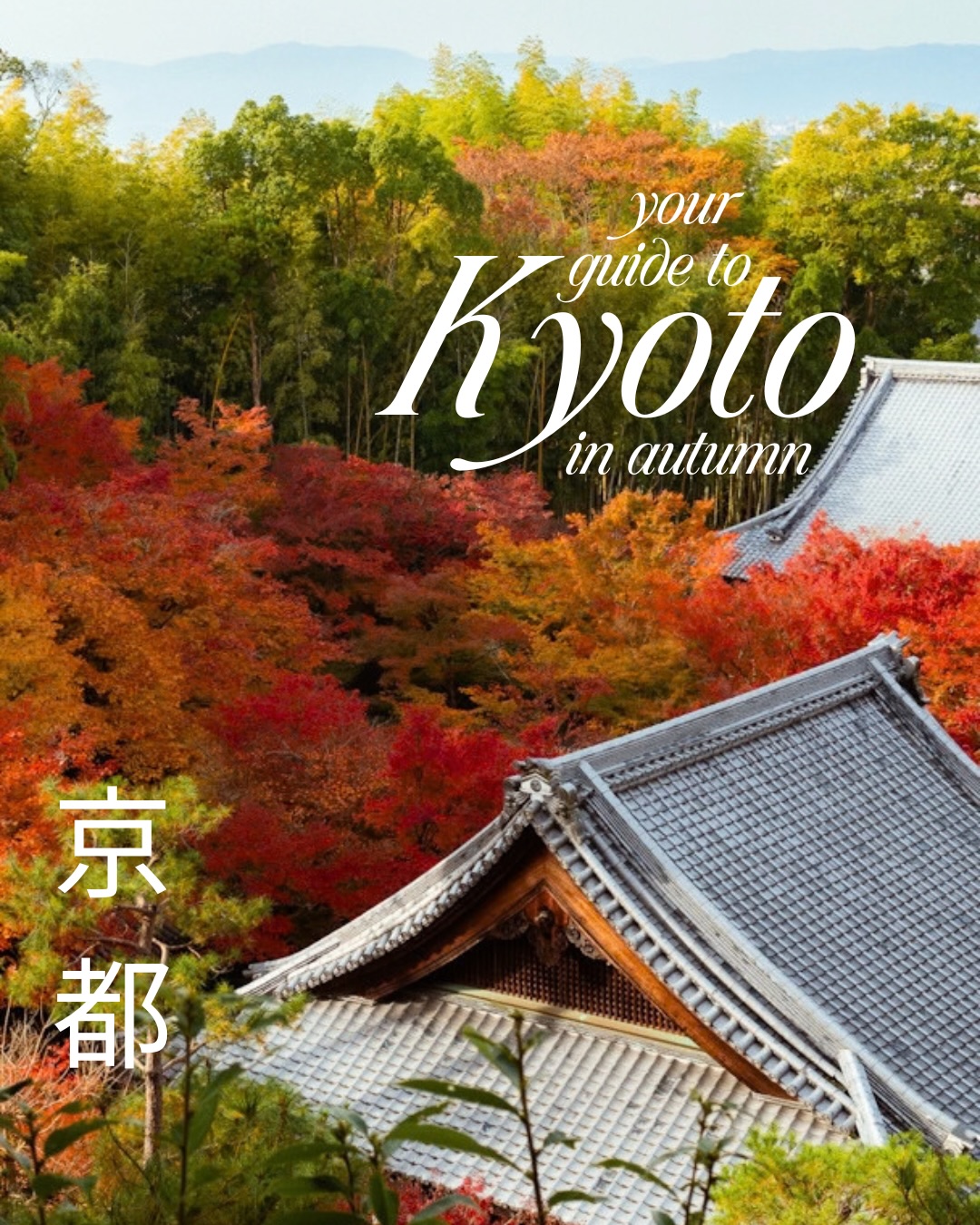 Kyoto's Lesser-Known Autumn Foliage Spots