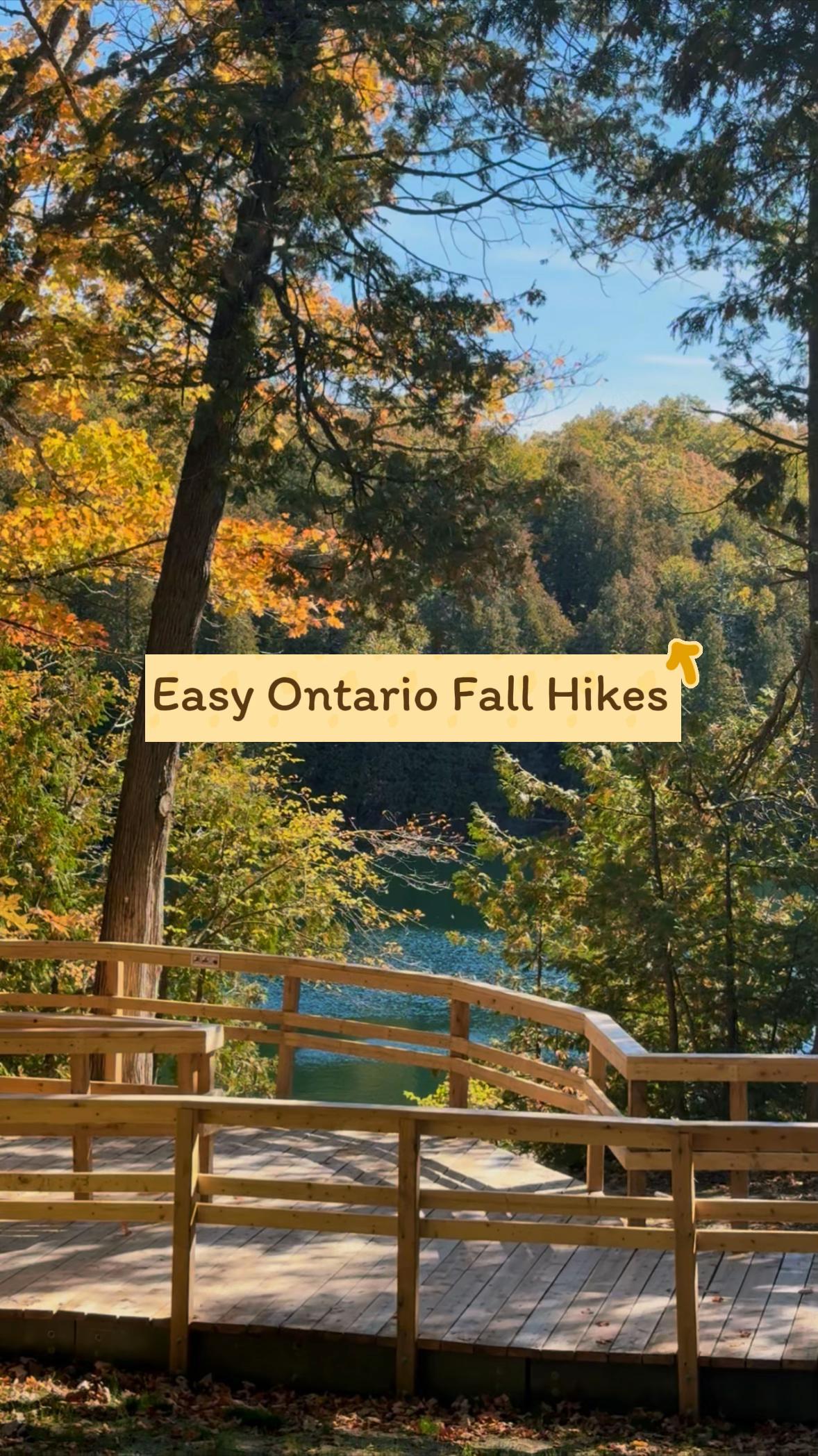 Ontario's Easy Fall Hiking Trails