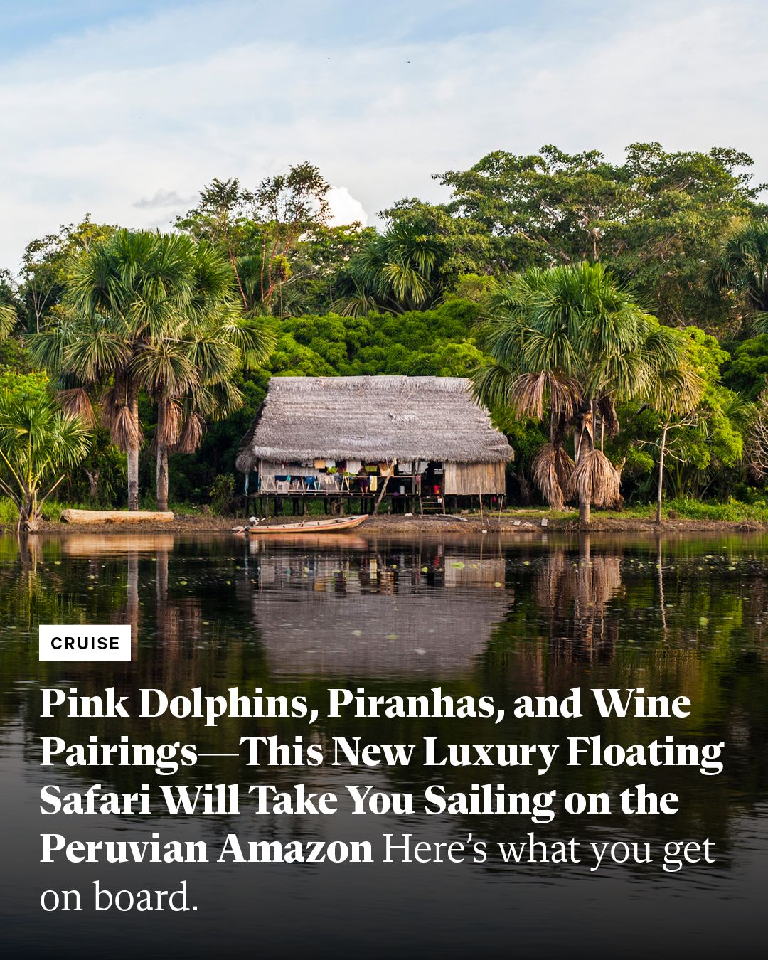 Luxury Amazon Safari Through Peruvian Rainforest