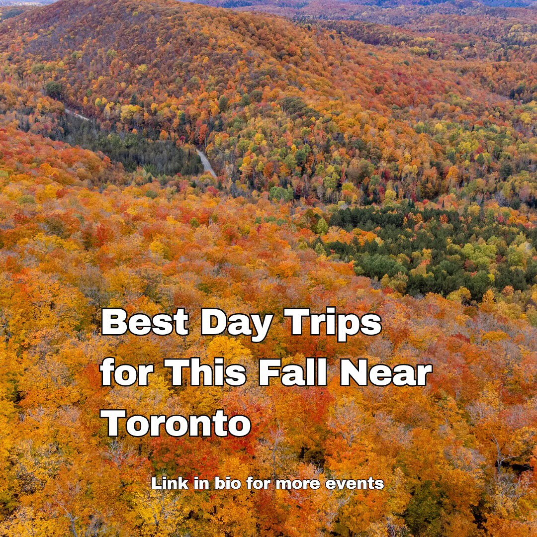 Scenic Fall Day Trips for Autumn Foliage Near Toronto